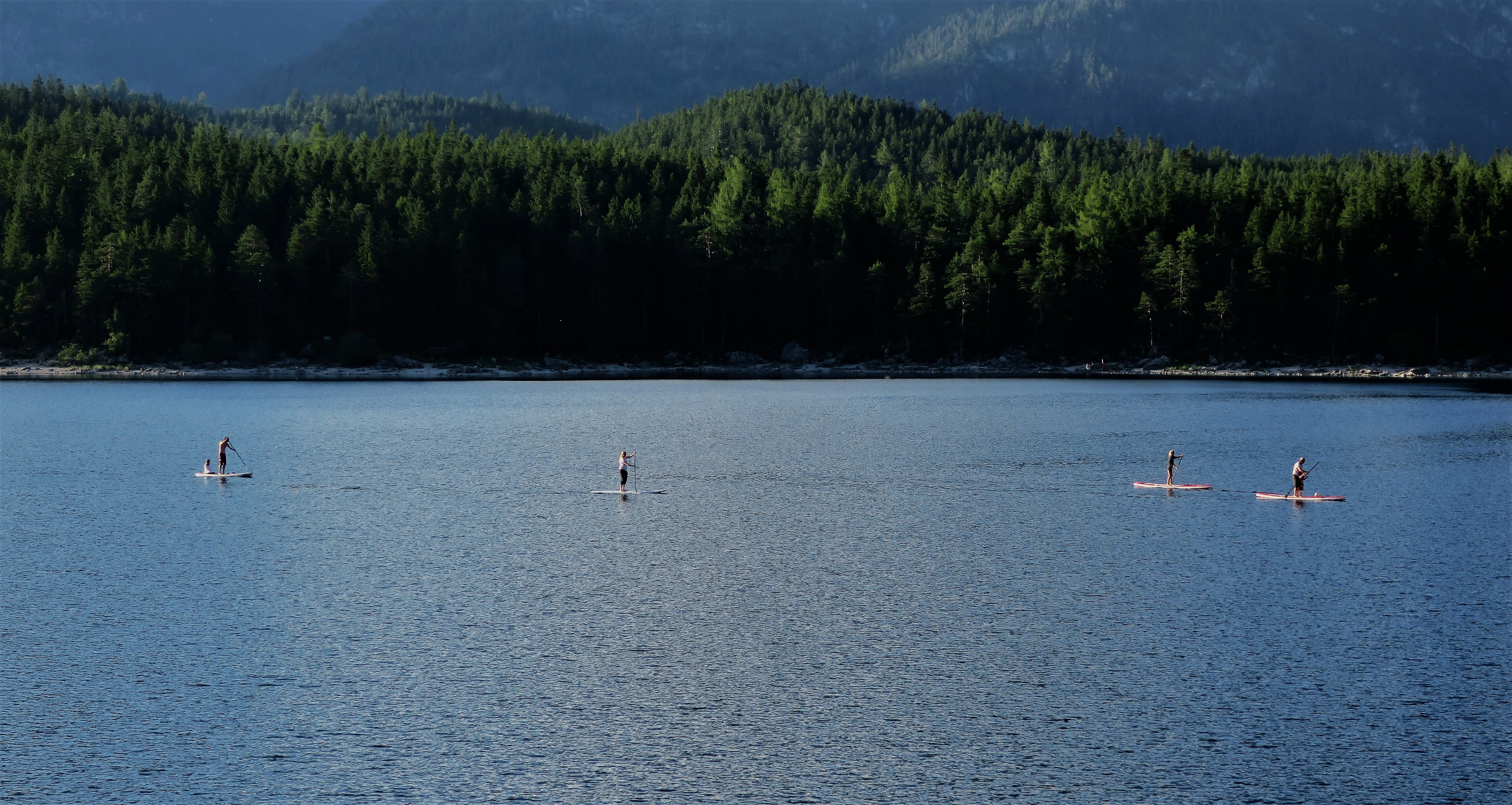 tranquil scene, water, mountain lake, tree, scenics - nature, lake, paddle, outdoors, mountain, animal, tranquility, trend sports, leisure, day, sport, HD Wallpaper