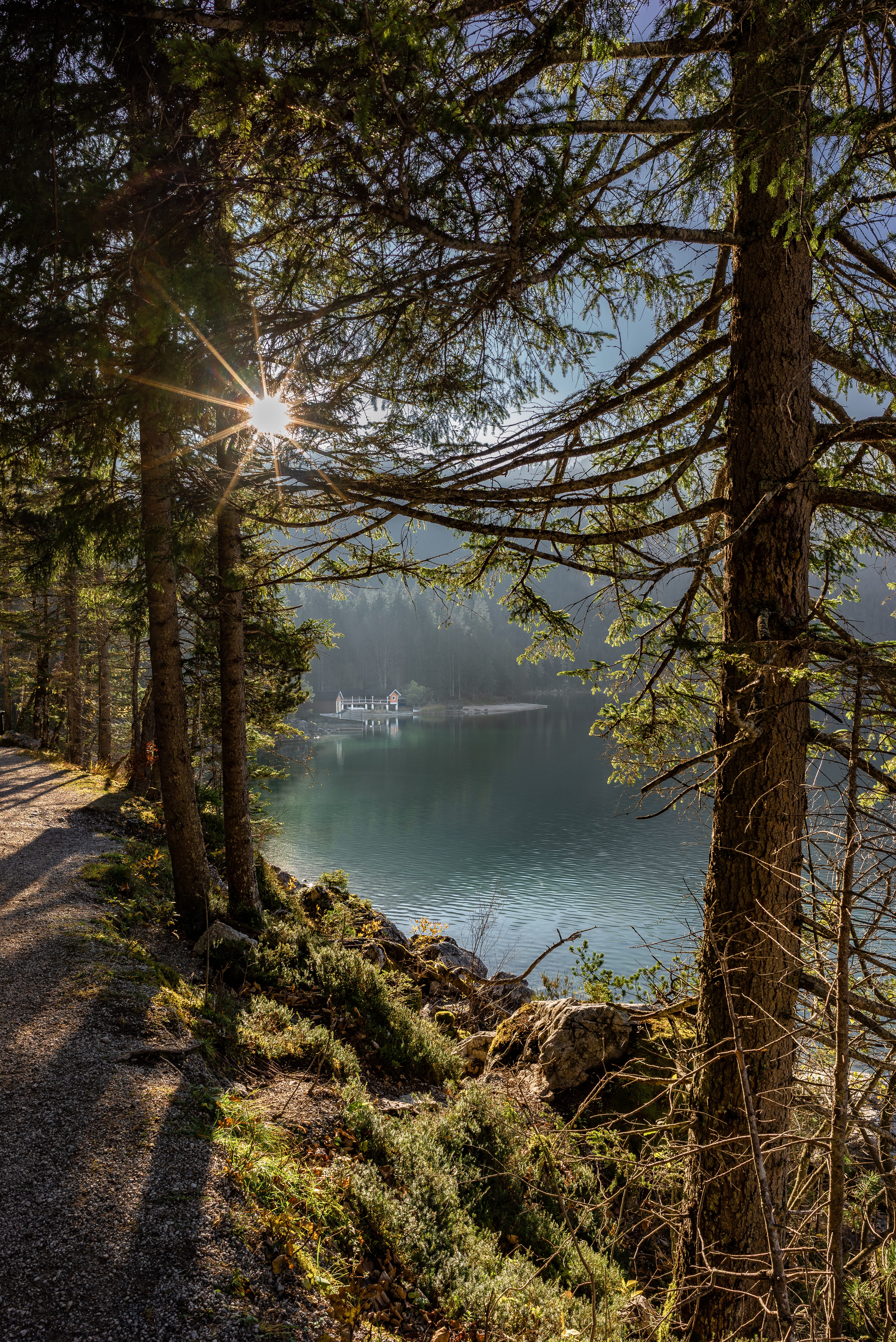 trunk, calm, flare, tranquility, nature, sunstar, tranquil scene, trees, day, no people, glow, hut, non-urban scene, water, bavaria, sunlight, sky, scenics - nature, Phone HD Wallpaper