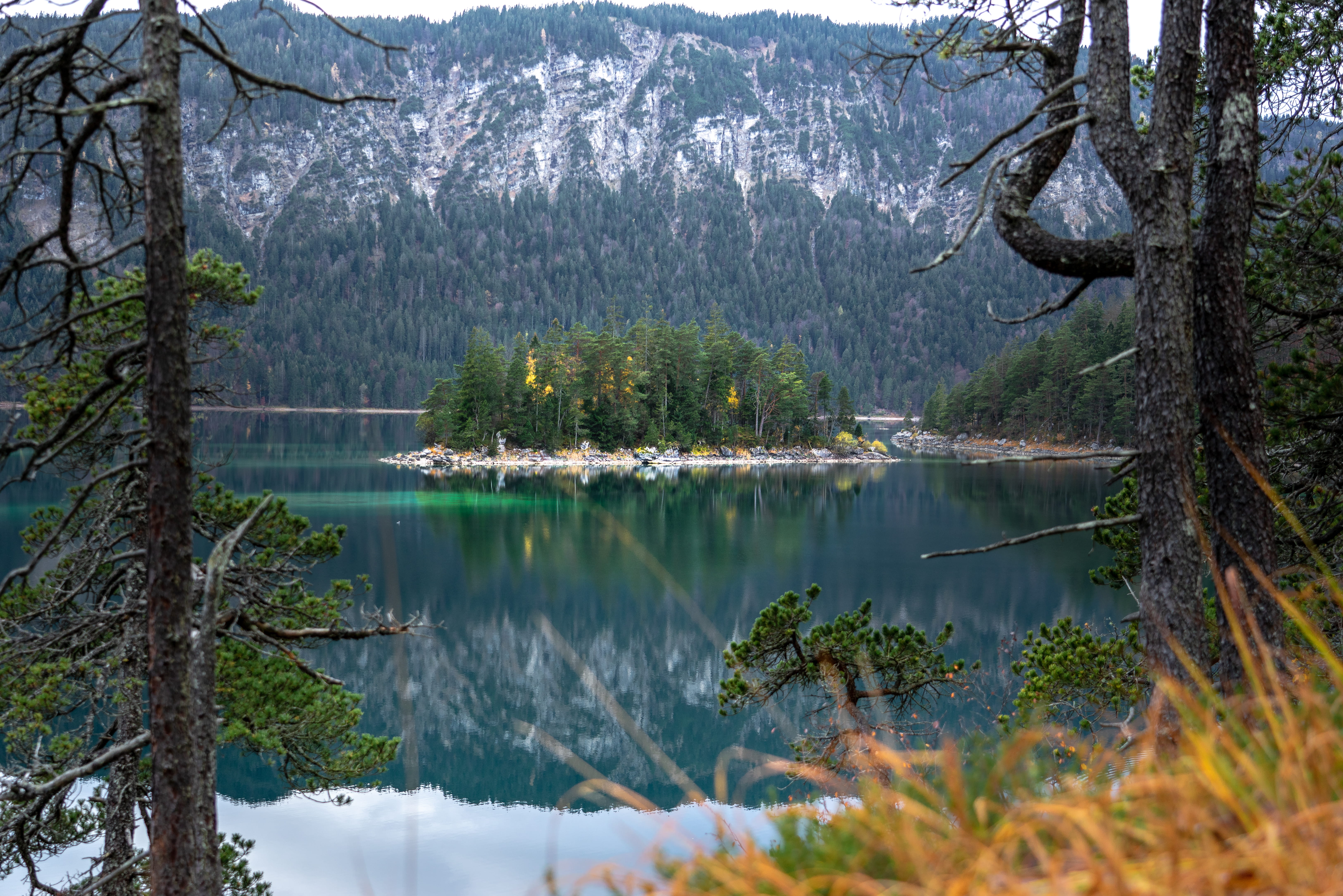 woodland, fir, pine woodland, non-urban scene, outdoors, daytime, pine tree, 5K, beauty in nature, lake, land, trees, conifer, idyllic, beside, island, HD Wallpaper