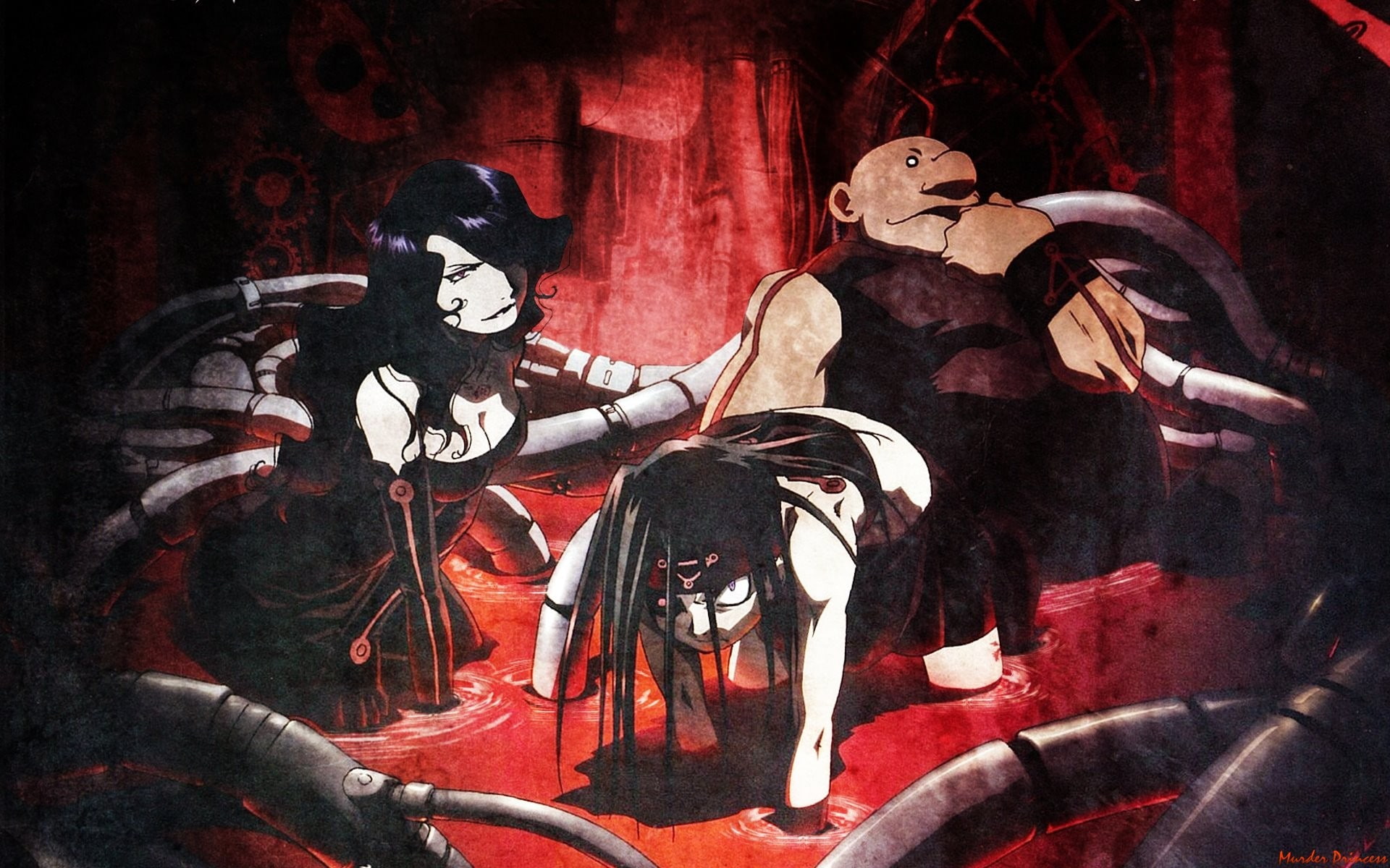 human skeleton, animal wildlife, Gluttony, Lust, creativity, real people, adult, Full Metal Alchemist, representation, costume, indoors, clothing, bone, HD Wallpaper
