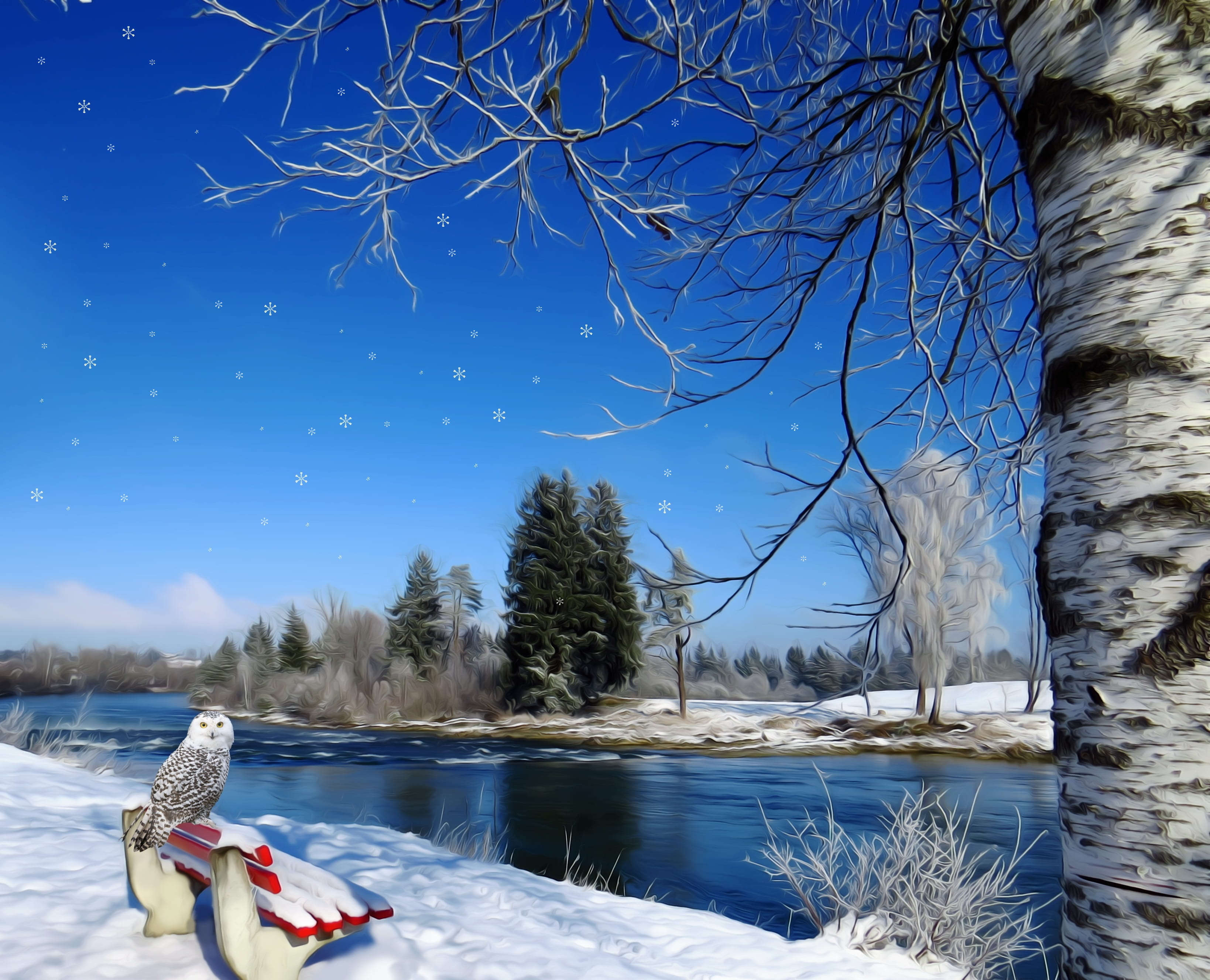 owl, birch trunk, seasons, blue, bird, bare tree, 2K, winter magic, day, outdoors, snowy, plant, tranquility, nature, frozen, sky, red, land, cold temperature, HD Wallpaper