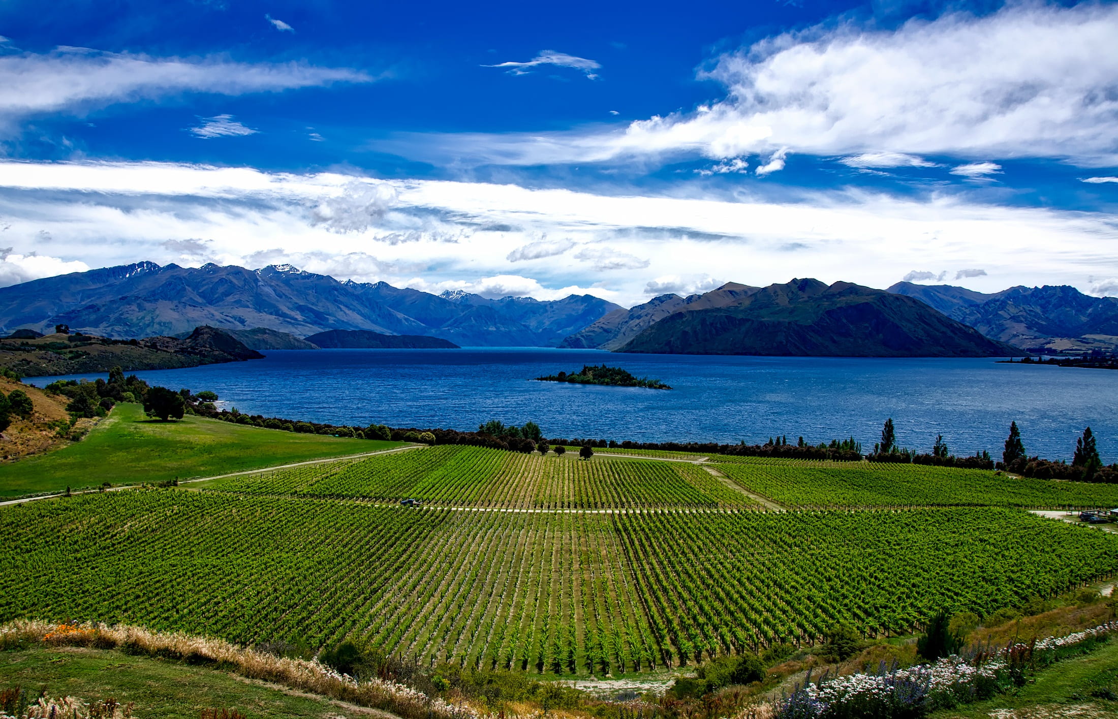 country, tranquil scene, winemaking, rural scene, near, scenics - nature, new zealand, green color, clouds, vines, nature, beauty in nature, lake, outdoors, HD Wallpaper