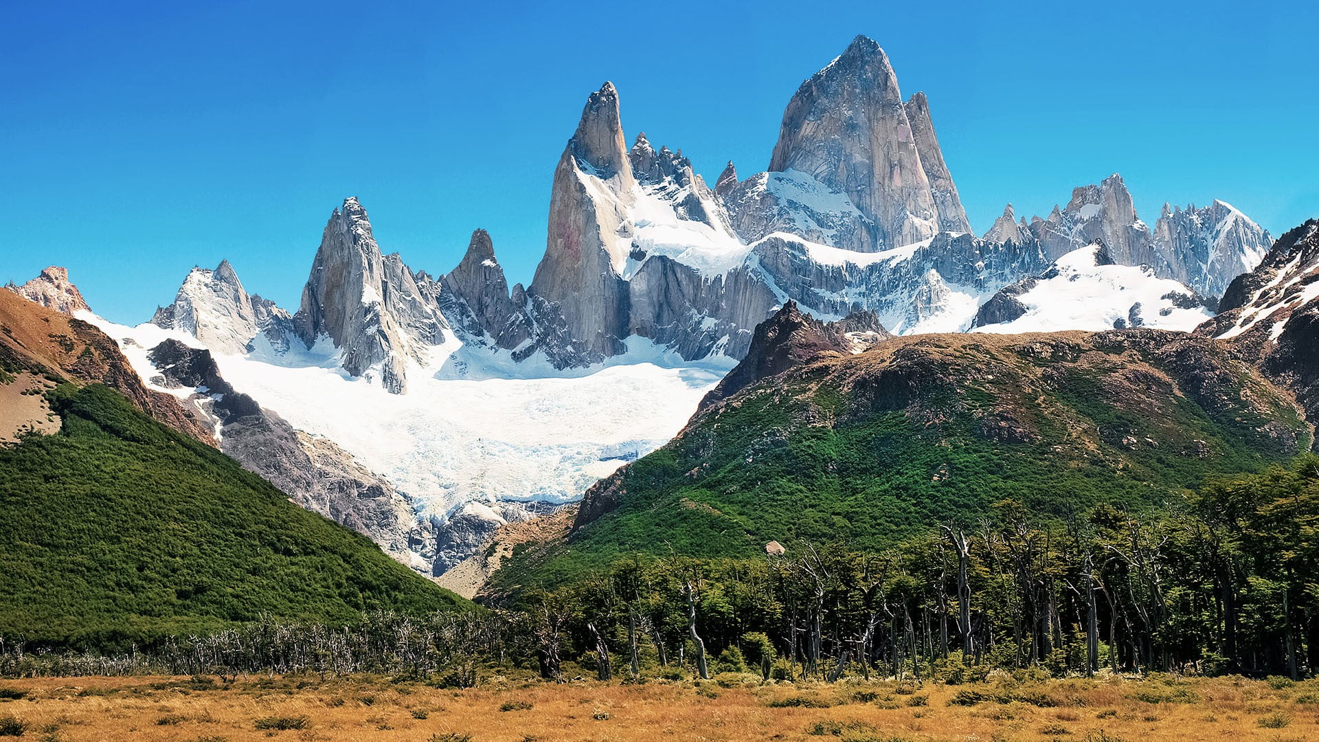 trees, forest, grass, Patagonia, 1080P, nature, landscape, snow, Argentina, mountains, sky, Monte Fitz Roy, HD Wallpaper