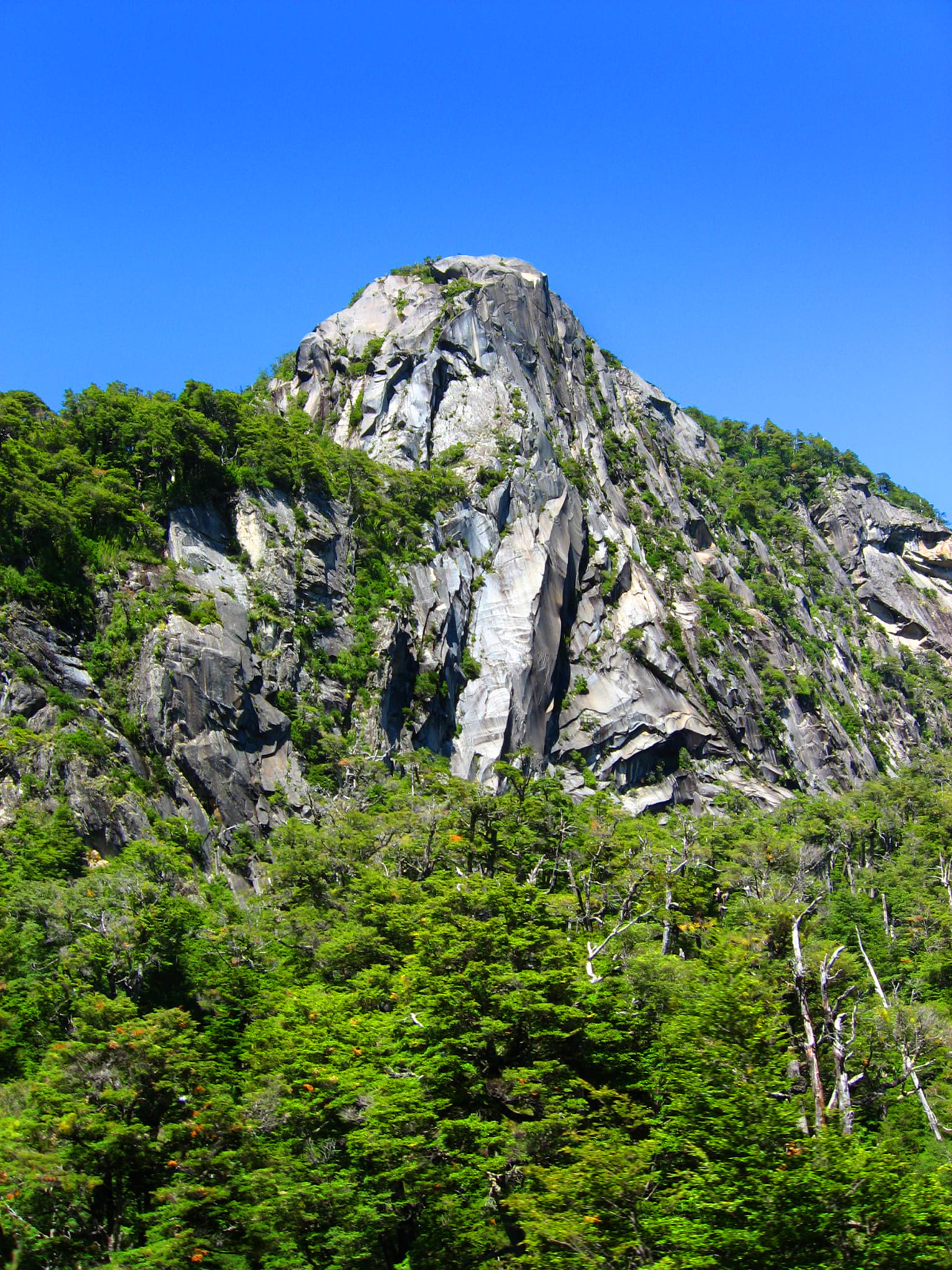 day, sky, clear sky, no people, nature, neuquén, parque nacional nahuel huapi, mountain, rock, argentina, height, tranquility, low angle view, wall, growth, Phone HD Wallpaper
