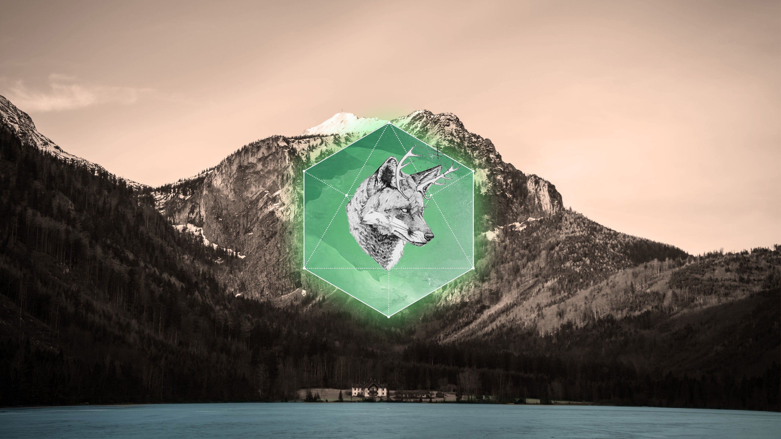 wolf, water, tranquility, gray, tranquil scene, snowcapped mountain, outdoors, lake, green color, scenics - nature, cold temperature, frozen, no people, HD Wallpaper