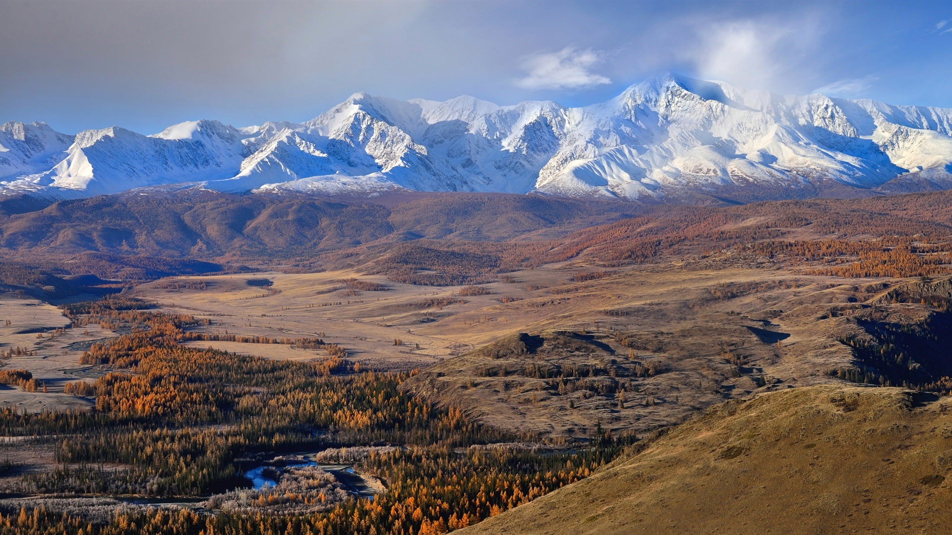 1080P, Mountains, Trees, Snow, Altai, Autumn, HD Wallpaper