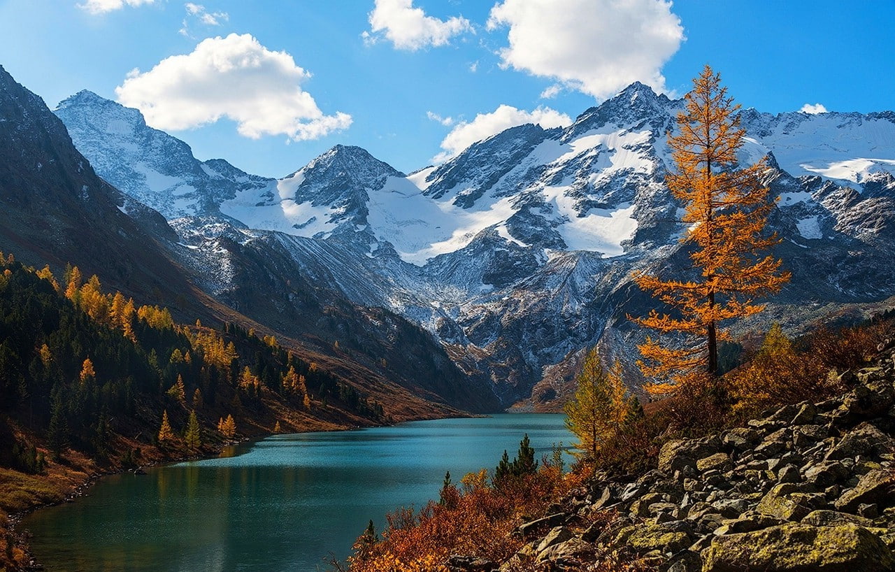 autumn, coniferous tree, tranquility, mountain range, nature, environment, nature mountain lake snow fall altai mountains snowy peak landscape forest russia clouds trees green water orange white blue, HD Wallpaper