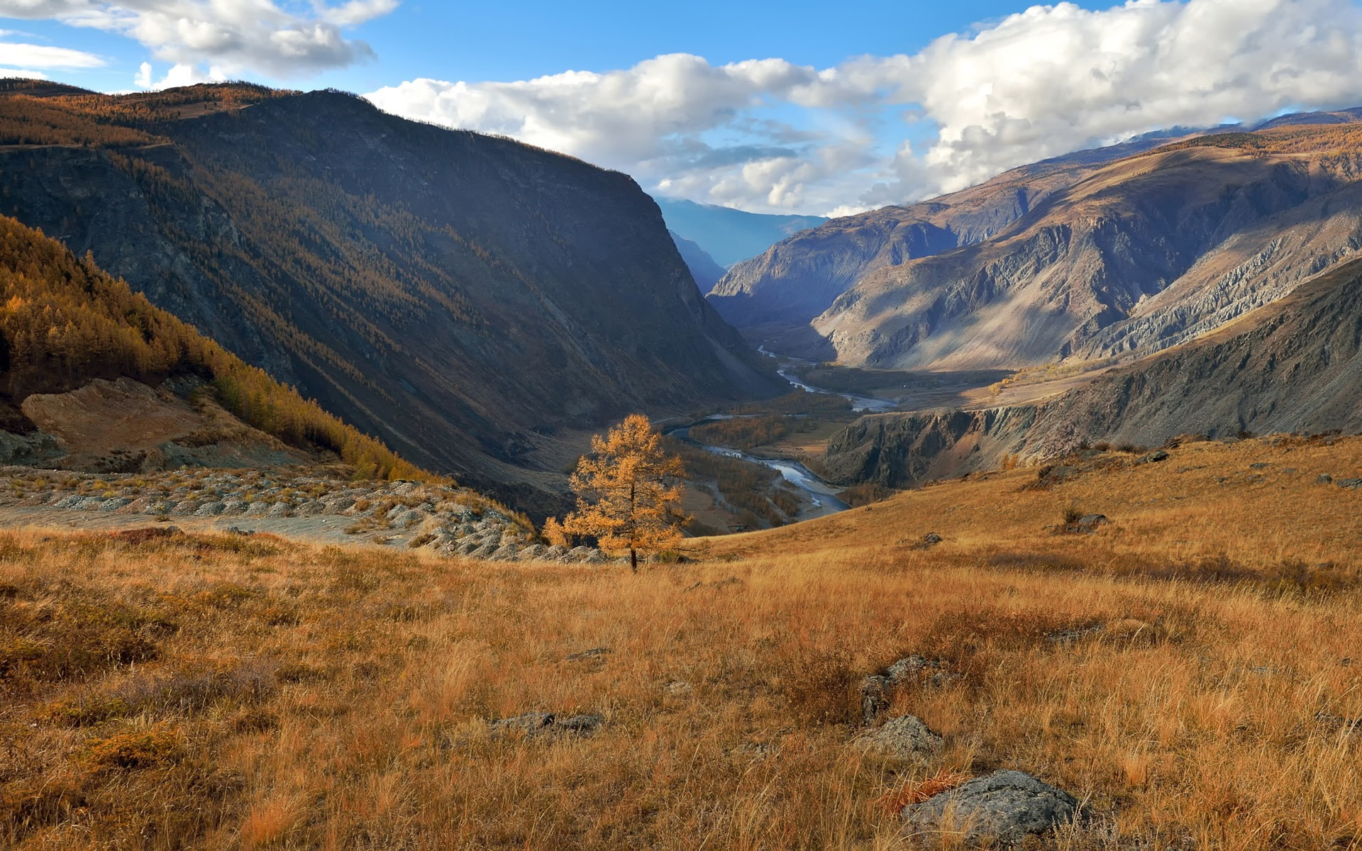 1080P, Mountains, Autumn, Clouds, Altai, Grass, brown, HD Wallpaper