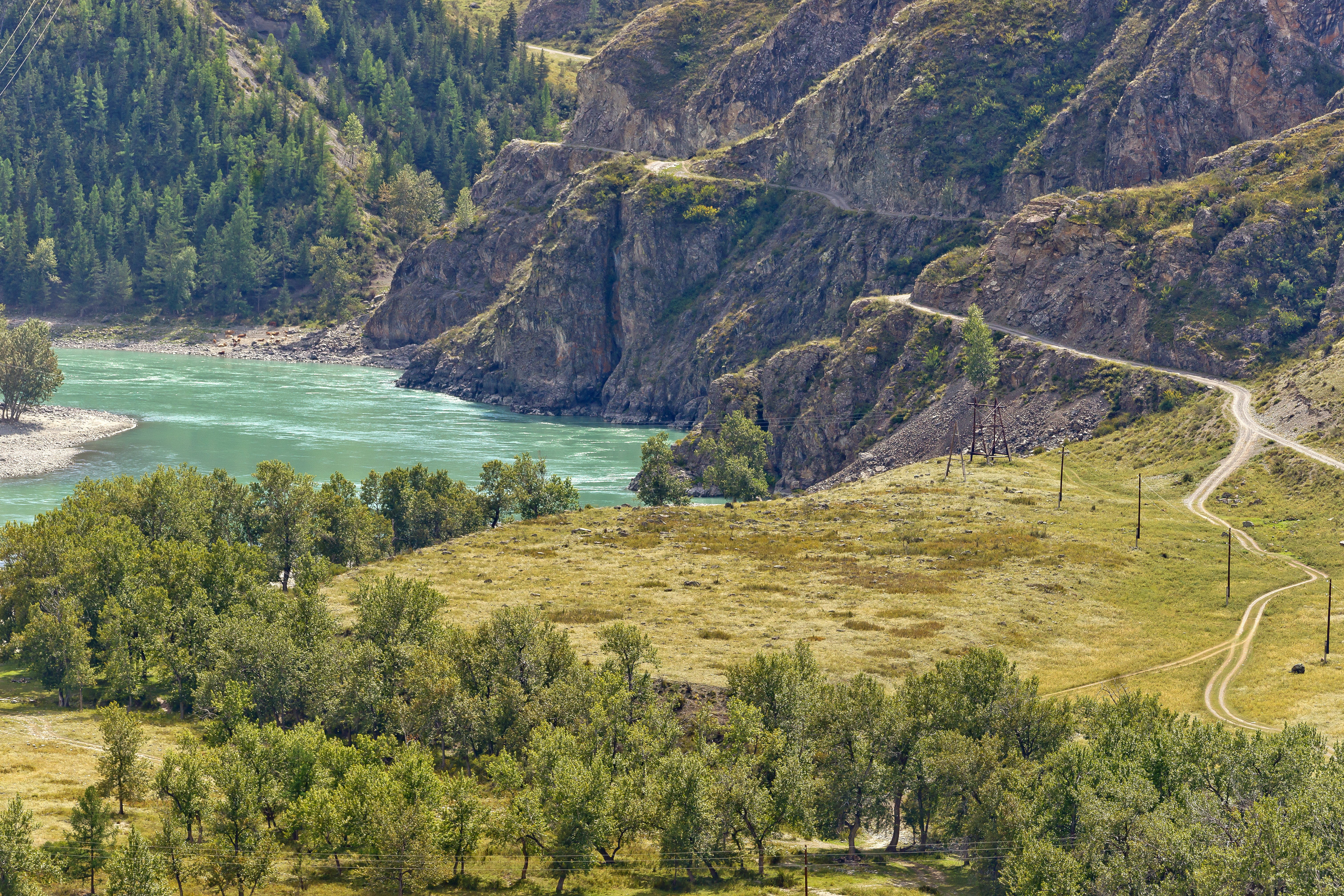 water, forest, summer, nature, outdoors, 5K, scenics - nature, high angle view, no people, mountains, Mountain Altai, non-urban scene, growth, mountain river, HD Wallpaper