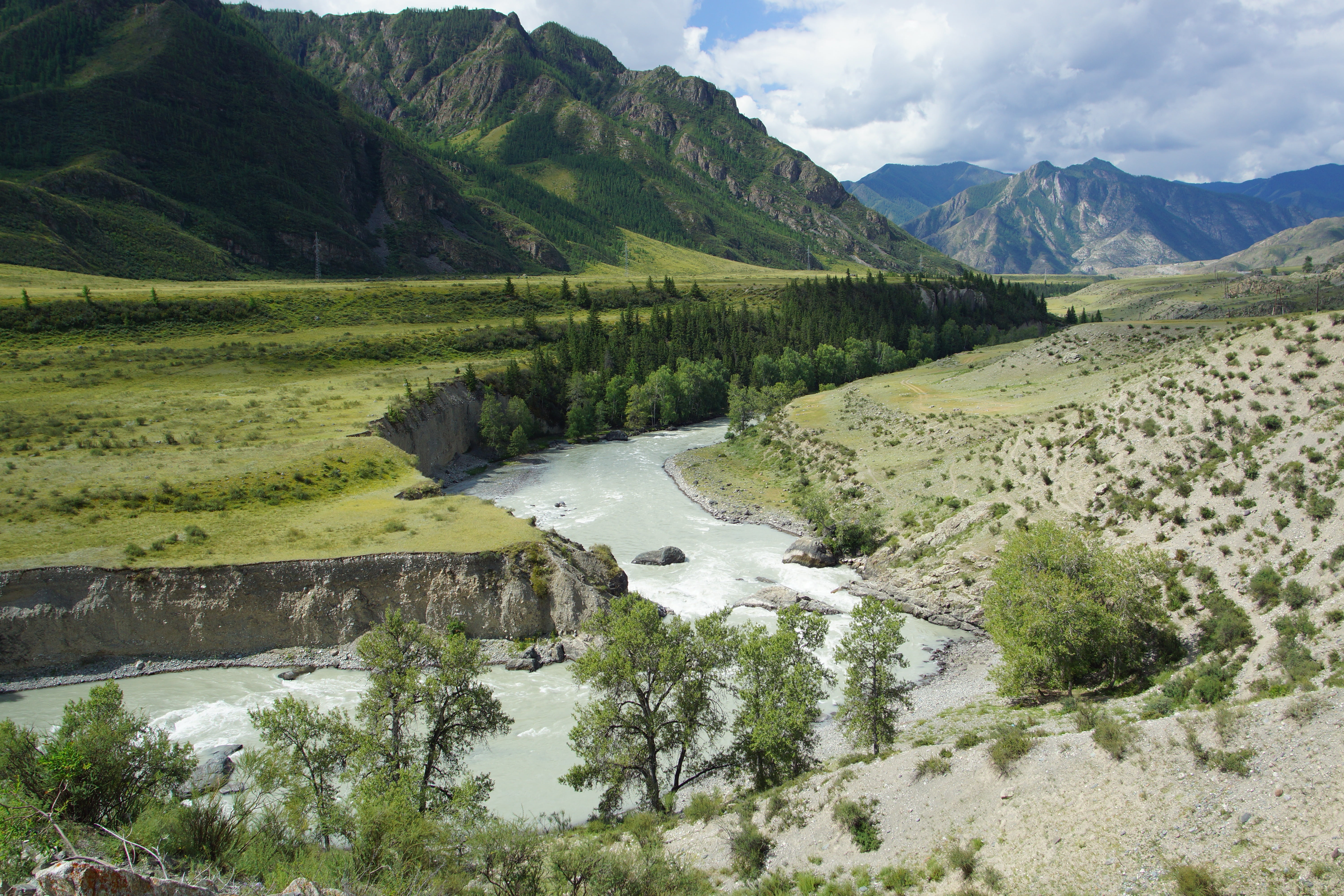 beauty in nature, sky, tree, summer, mountain altai, scenics - nature, river, nature, outdoors, landscape, flowing water, mountain range, 5K, environment, HD Wallpaper