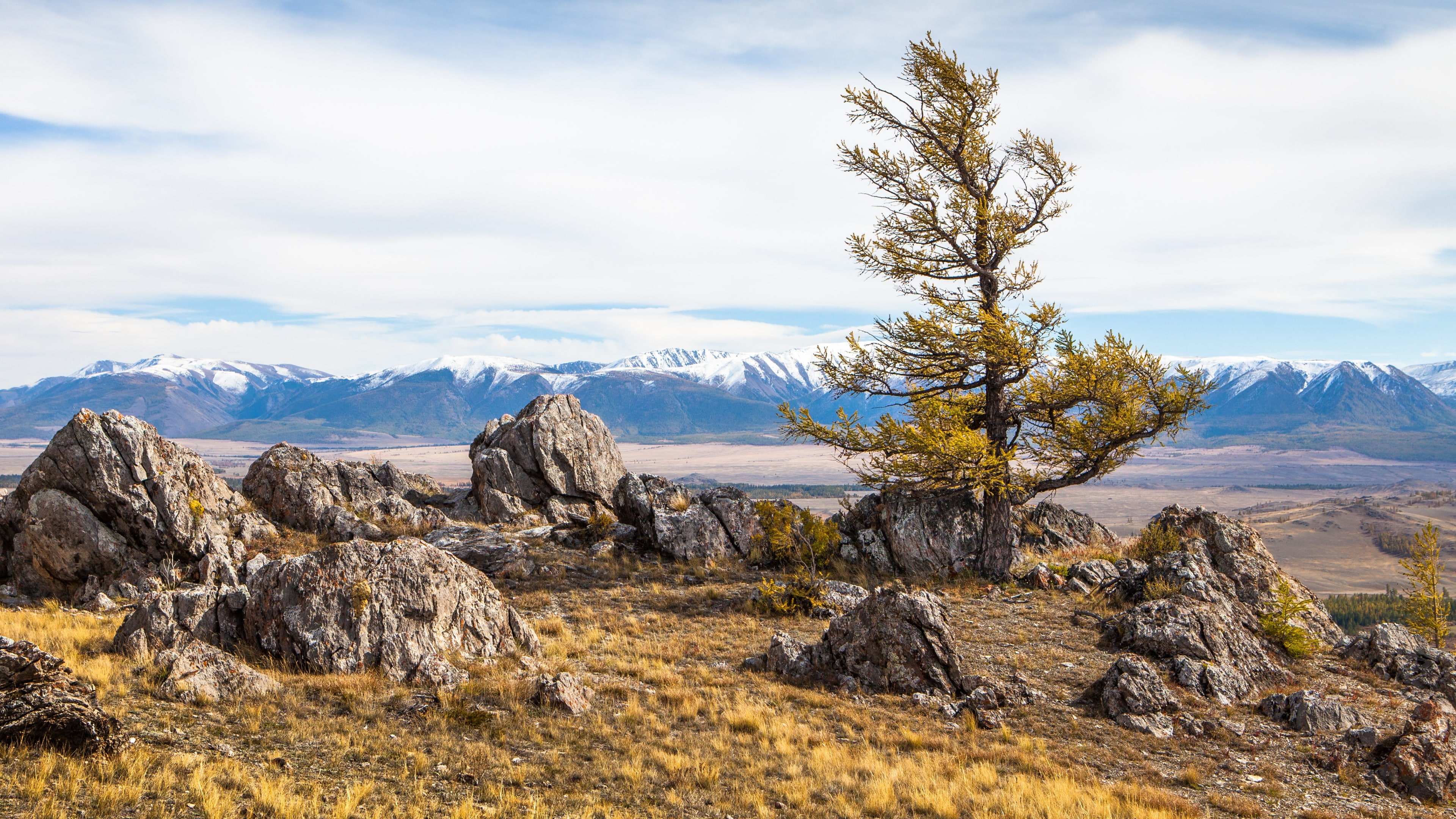 crag, landscape, altai mountains, scenery, 4K, tree, mountains, siberia, lone tree, altai, russia, stones, HD Wallpaper