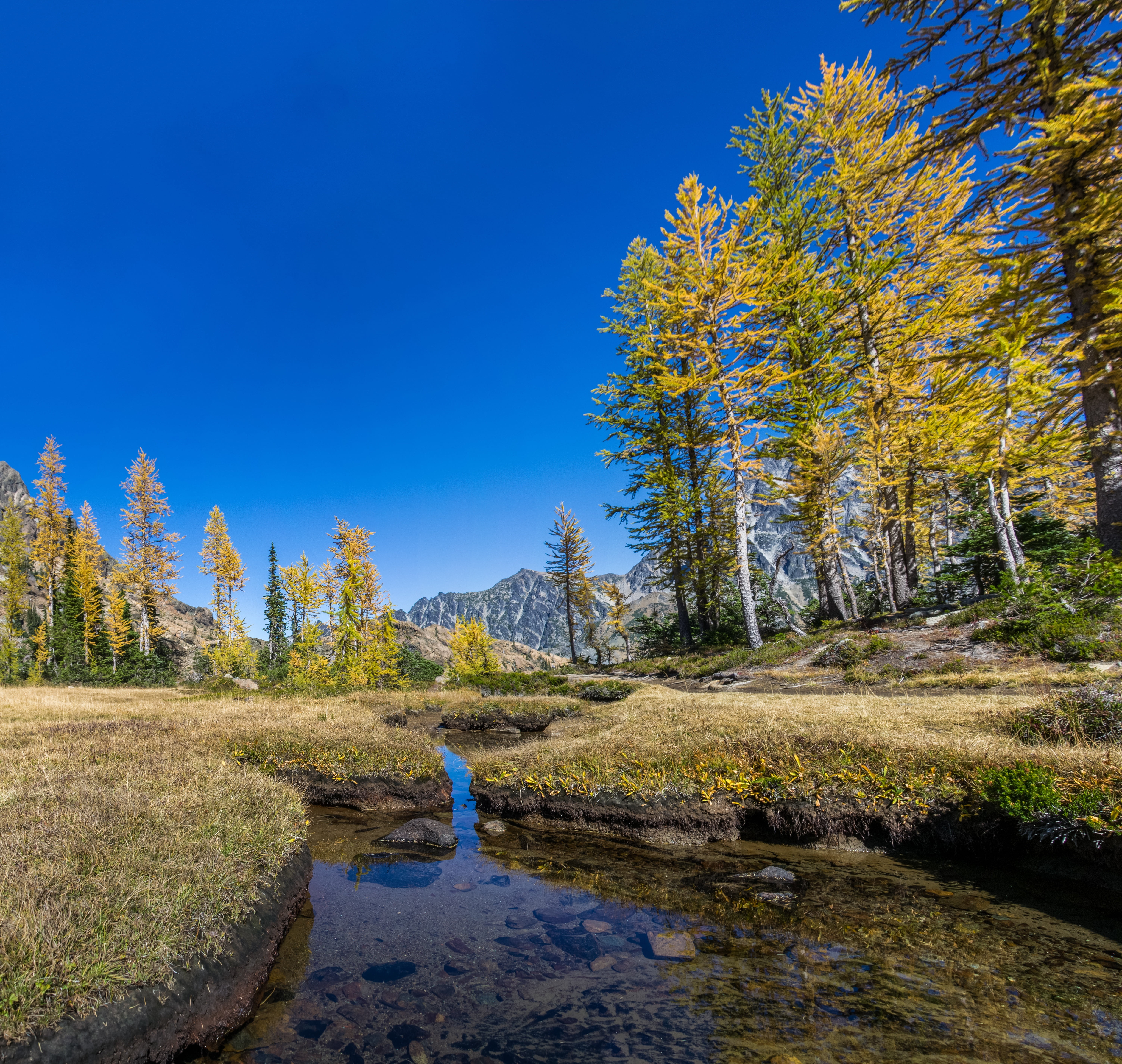 non-urban scene, scenics, growth, hiking, tranquil scene, clear, landscape, land, lake, stream, usa, lake ingalls, leisure activity, national forest, woodland, HD Wallpaper