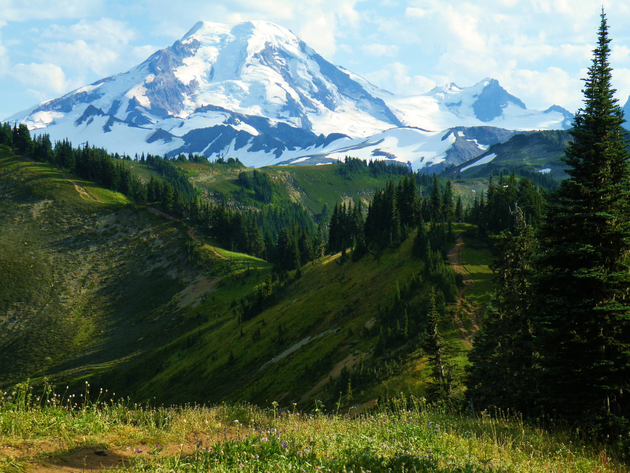 nature, scenery, 1080P, national, baker snoqualmie, mountains, forest, usa, HD Wallpaper