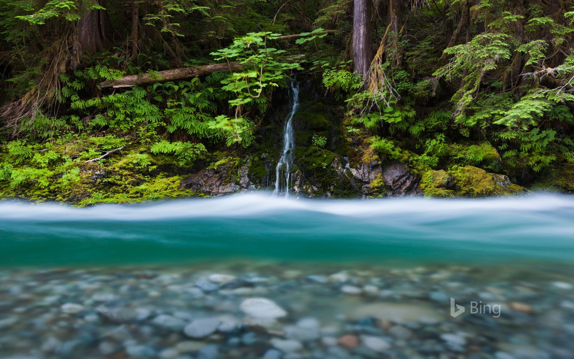 washington, green color, long exposure, scenics - nature, environment, 1080P, no people, outdoors, bing, beauty in nature, rock, national, blurred motion, HD Wallpaper