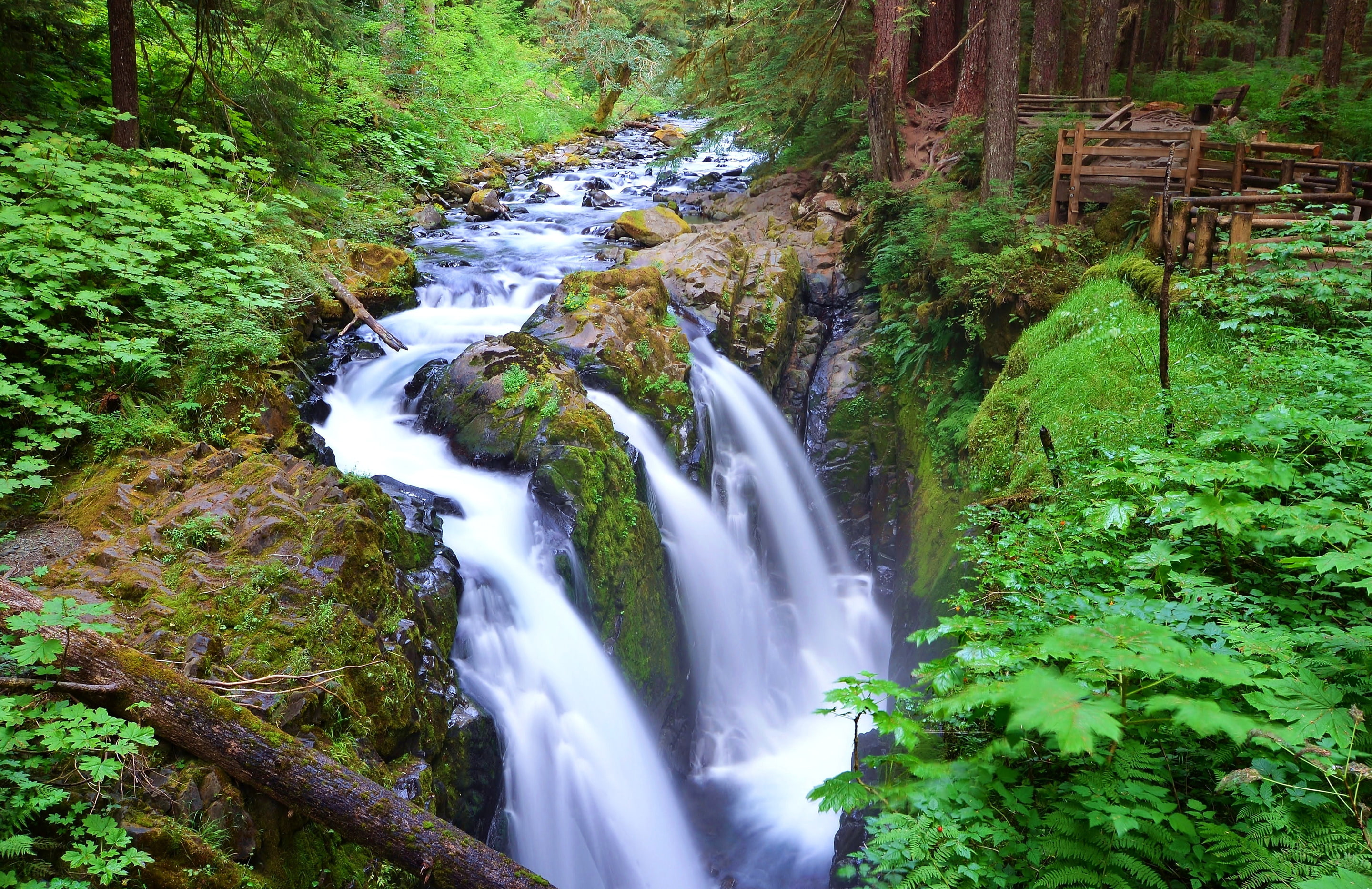 forest, 2K, Olympic National Park, Sol Duc Falls, stream, waterfall, USA, Washington, river, trees, HD Wallpaper