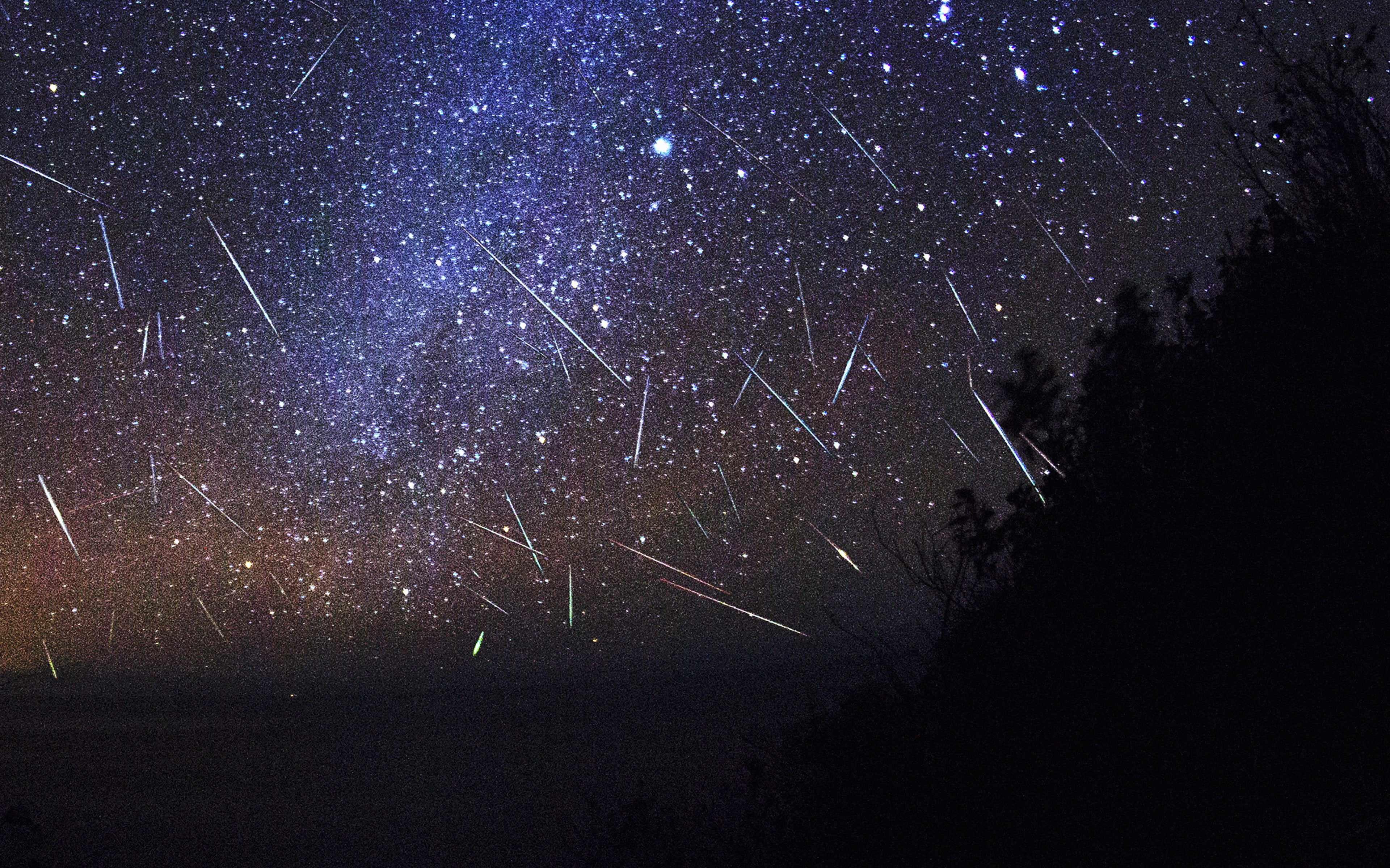 dark, no people, meteor, tree, shower, star - space, 4K, space and astronomy, outdoors, sky, scenics - nature, space, star, star field, night, low angle view, HD Wallpaper