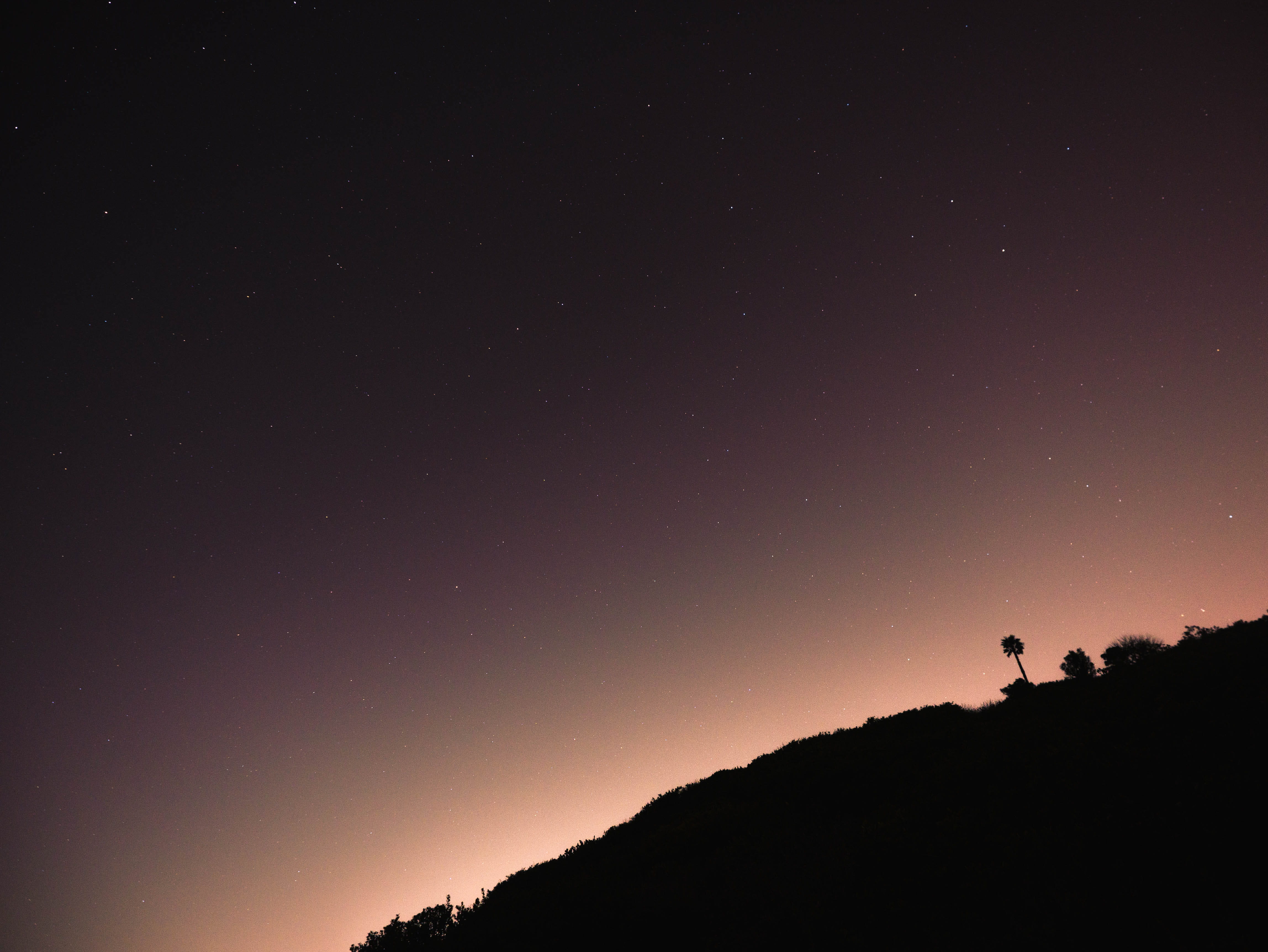 milky way, sky, astronomy, palm tree, scenics - nature, lyrid, rancho palos verdes, galaxy, star - space, beauty in nature, space, silhouette, comet, tranquility, HD Wallpaper
