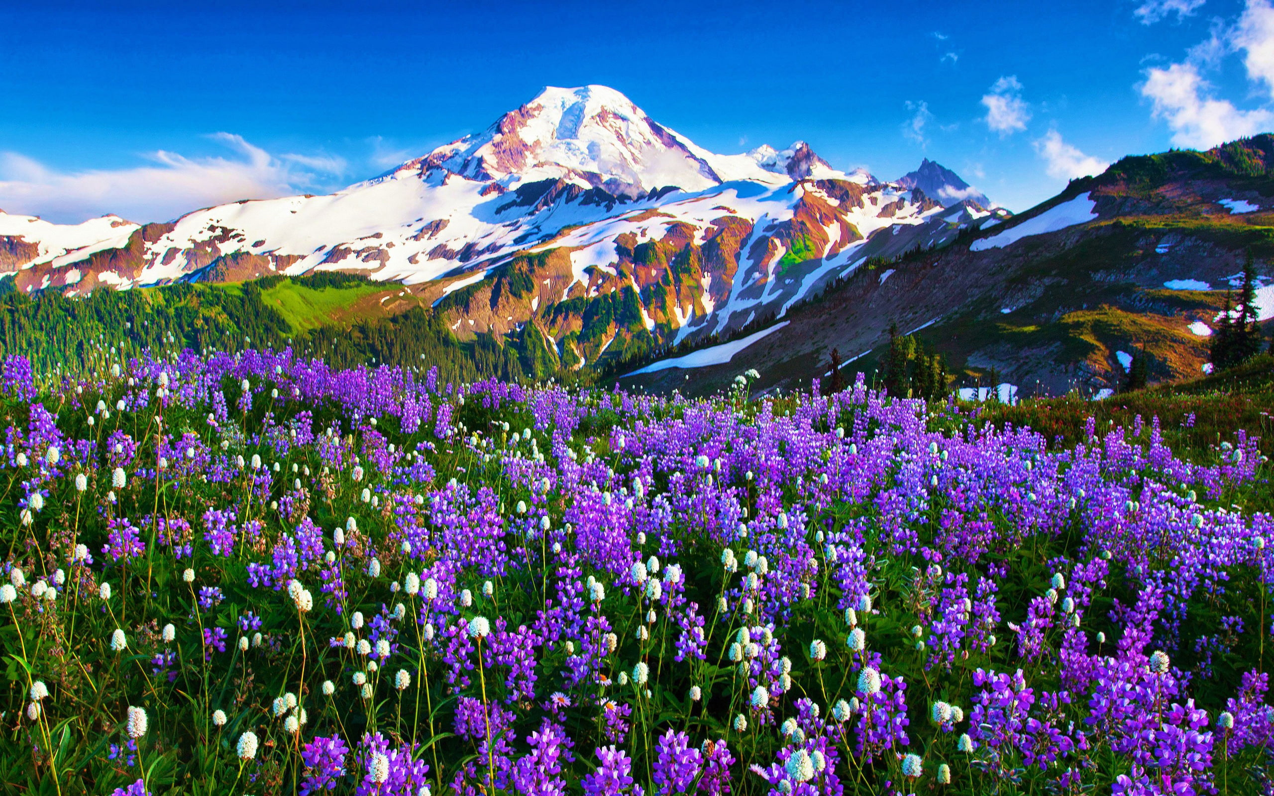 background, mount, baker, 2K, desktop, HD Wallpaper