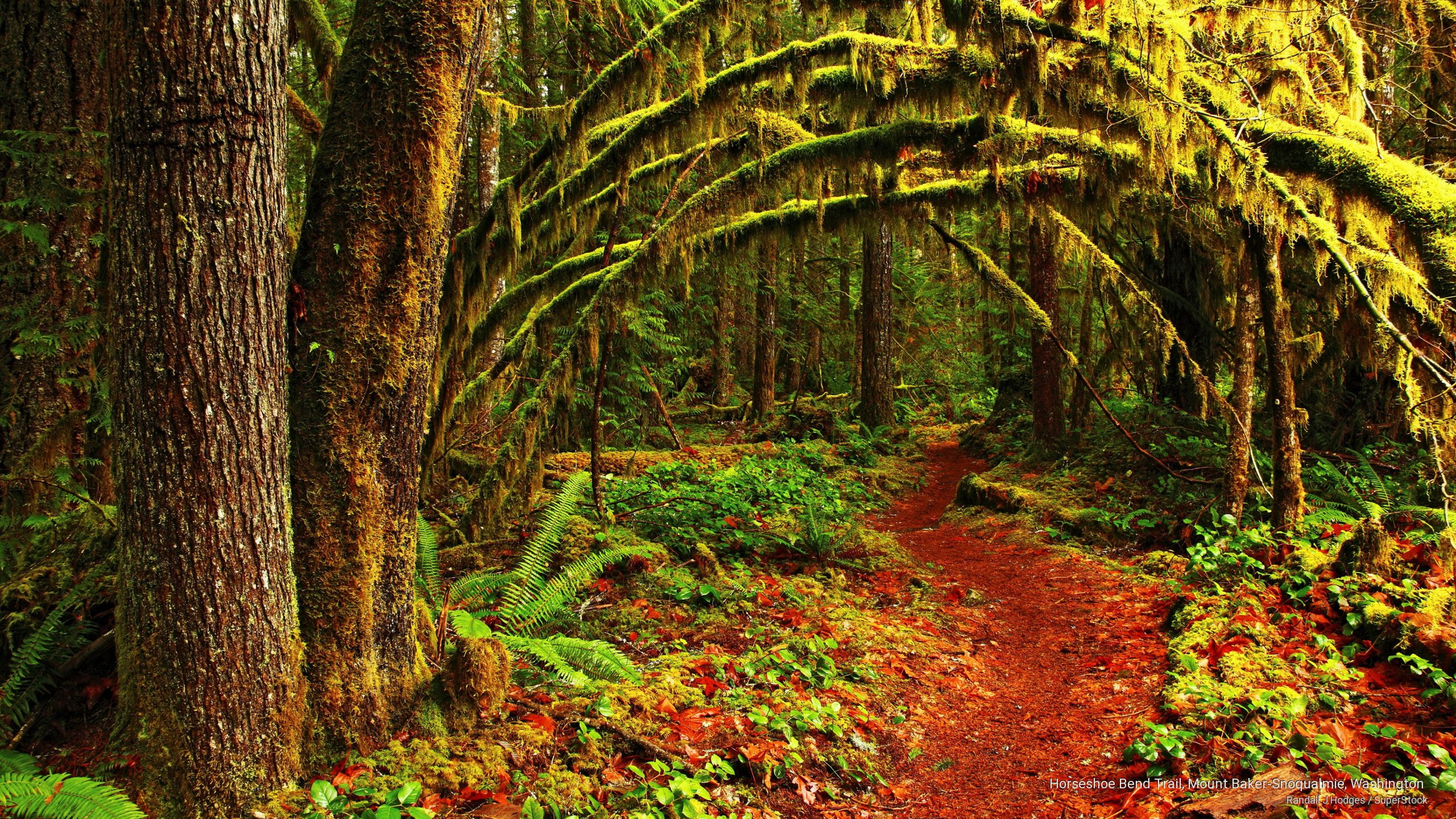 snoqualmie, mount, washington, baker, trail, horseshoe, bend, 2K, Nature, HD Wallpaper