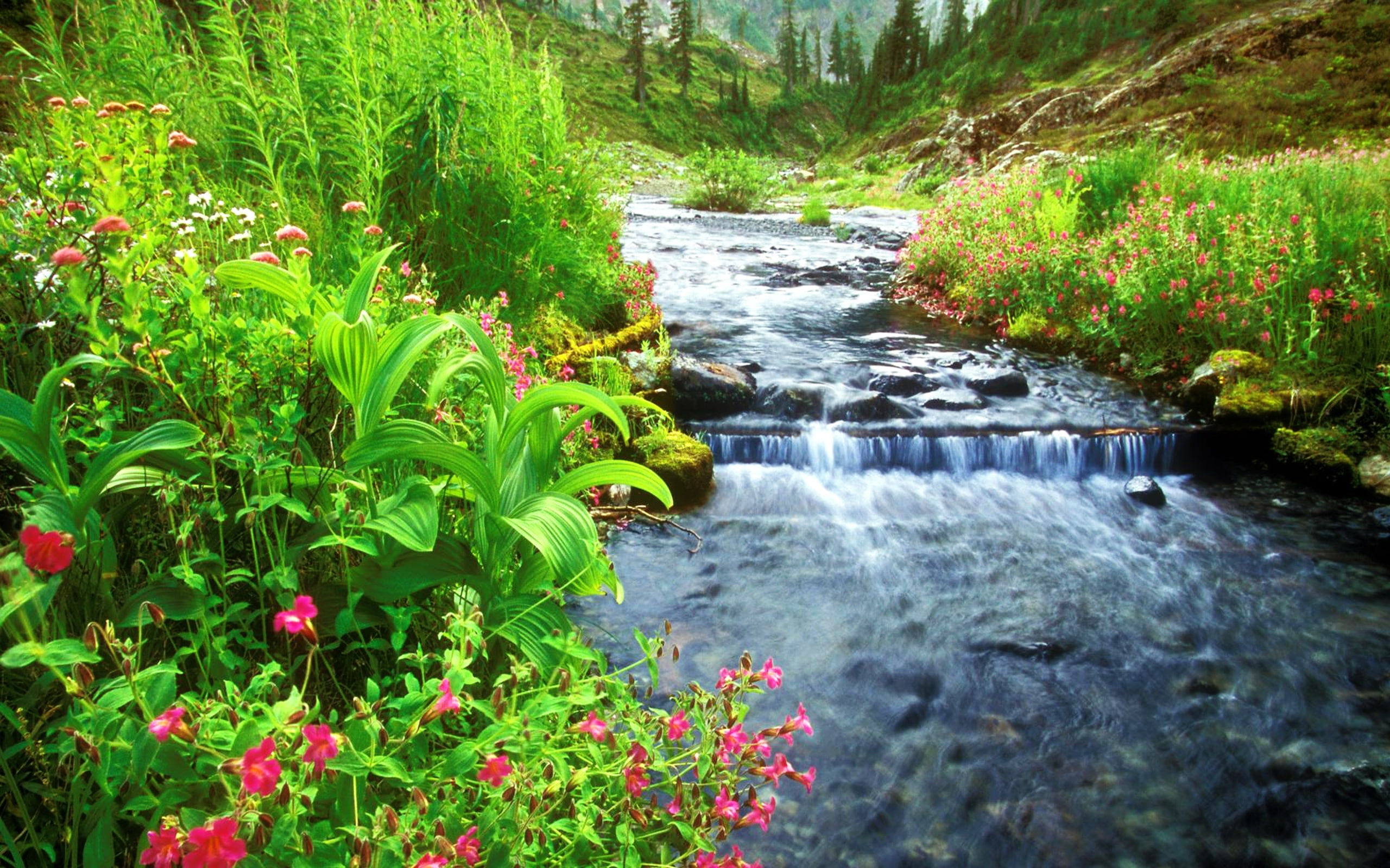 creek, baker, washington, bagley, 2K, mount, HD Wallpaper
