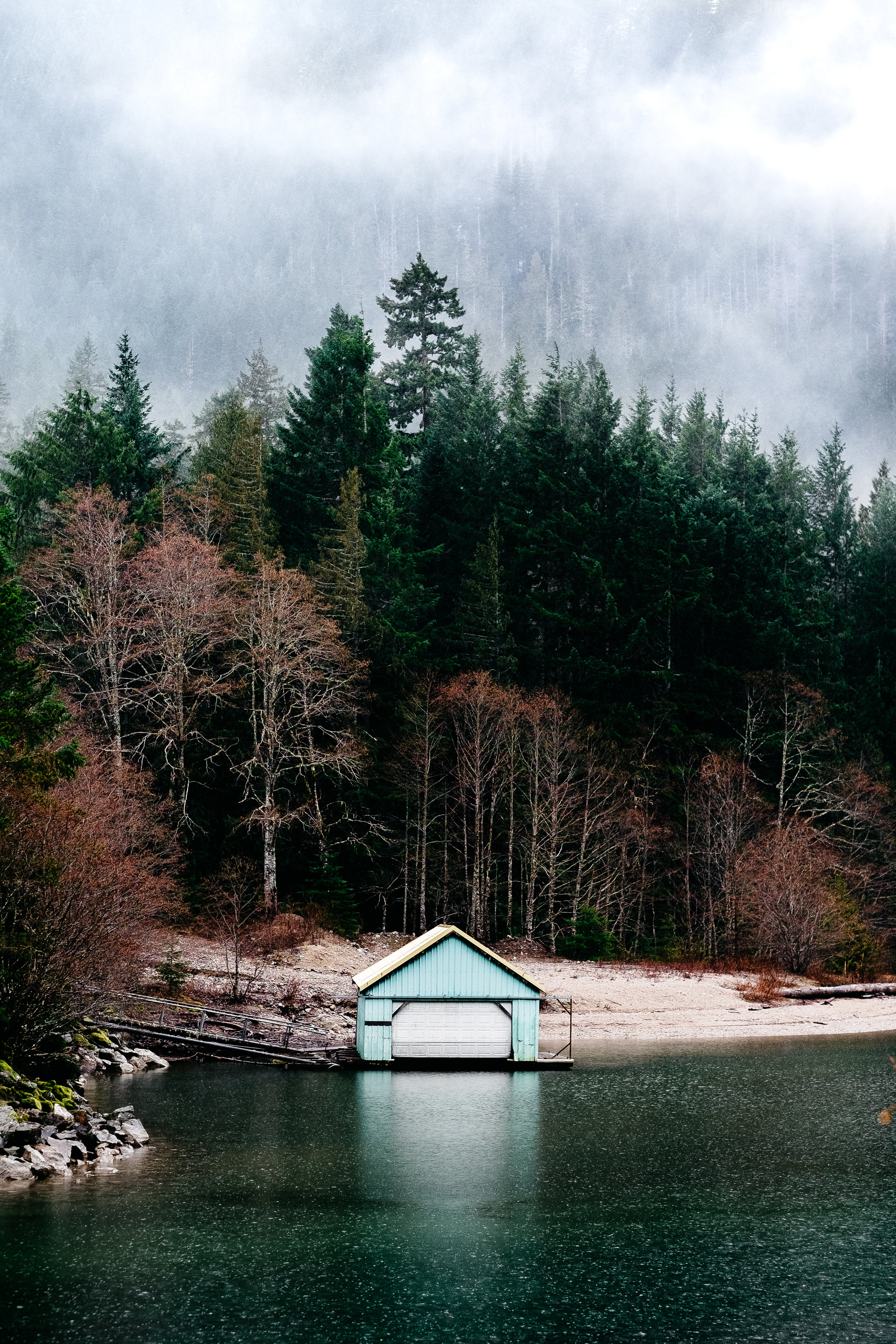 rain, outdoors, no people, tranquil scene, cottage, nature, architecture, beauty in nature, growth, washington, tree, building exterior, seattle, forest, Phone HD Wallpaper