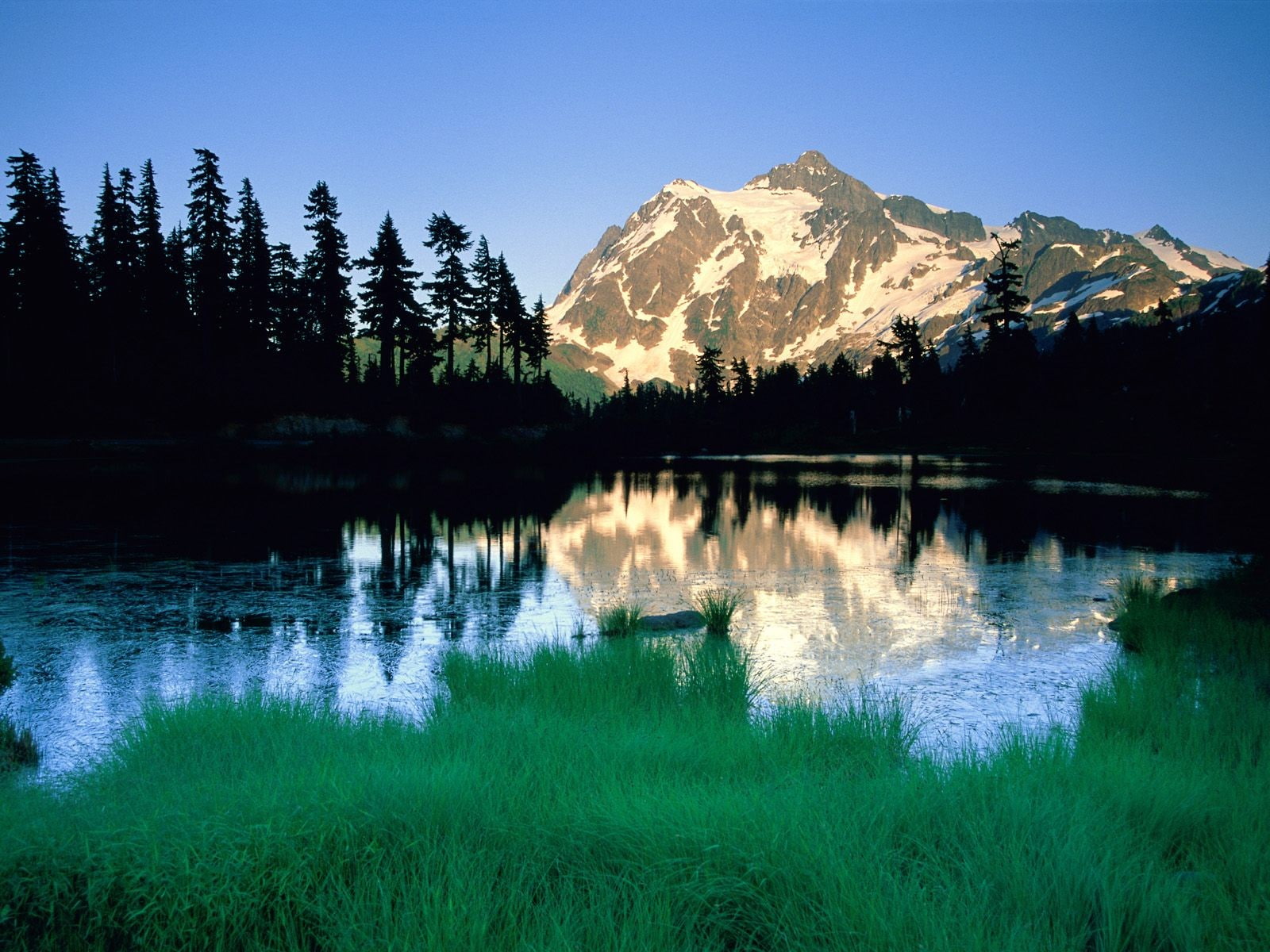 pine trees, travel destinations, national park, beauty in nature, coniferous tree, North Cascades National Park, sky, landscape, Washington, clear sky, HD Wallpaper