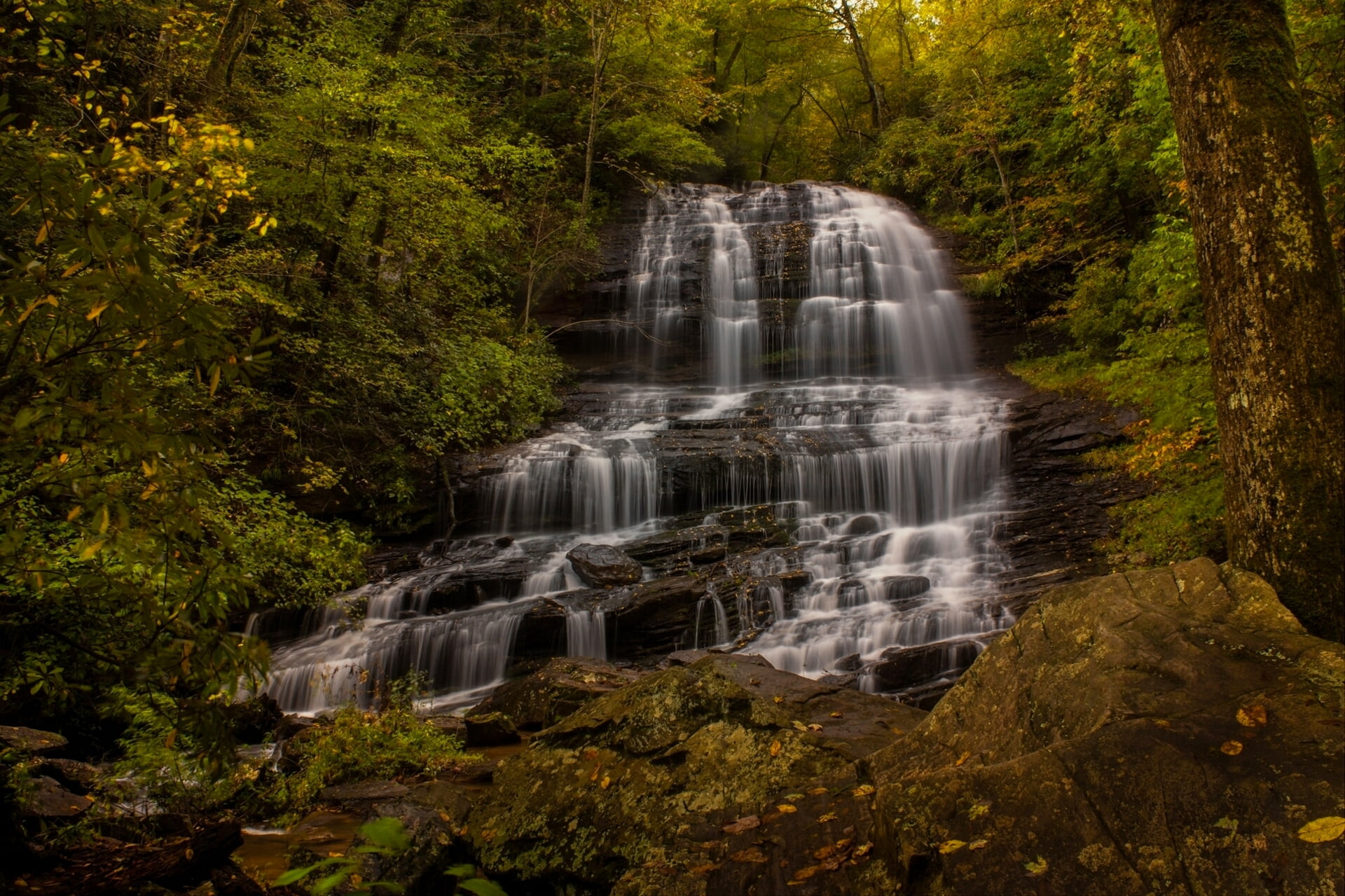 1080P, waterfall, forest, cascade, Saluda, North Carolina, Pearsons Falls, autumn, HD Wallpaper