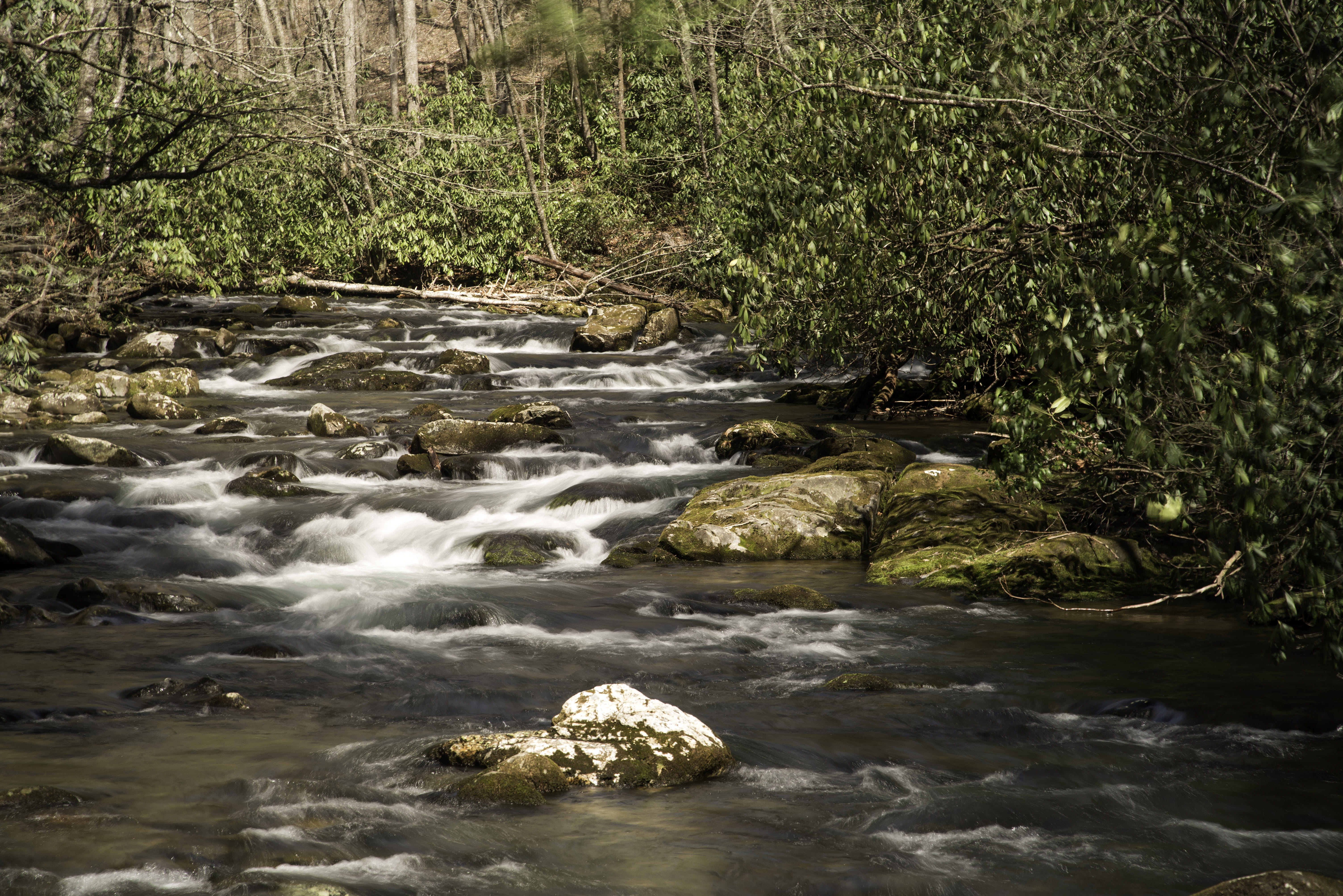 plant, water, land, north, stream, scenics, rock, flowing, tranquility, Landscape, great, mountains, public domain, landscapes, stream - flowing water, HD Wallpaper