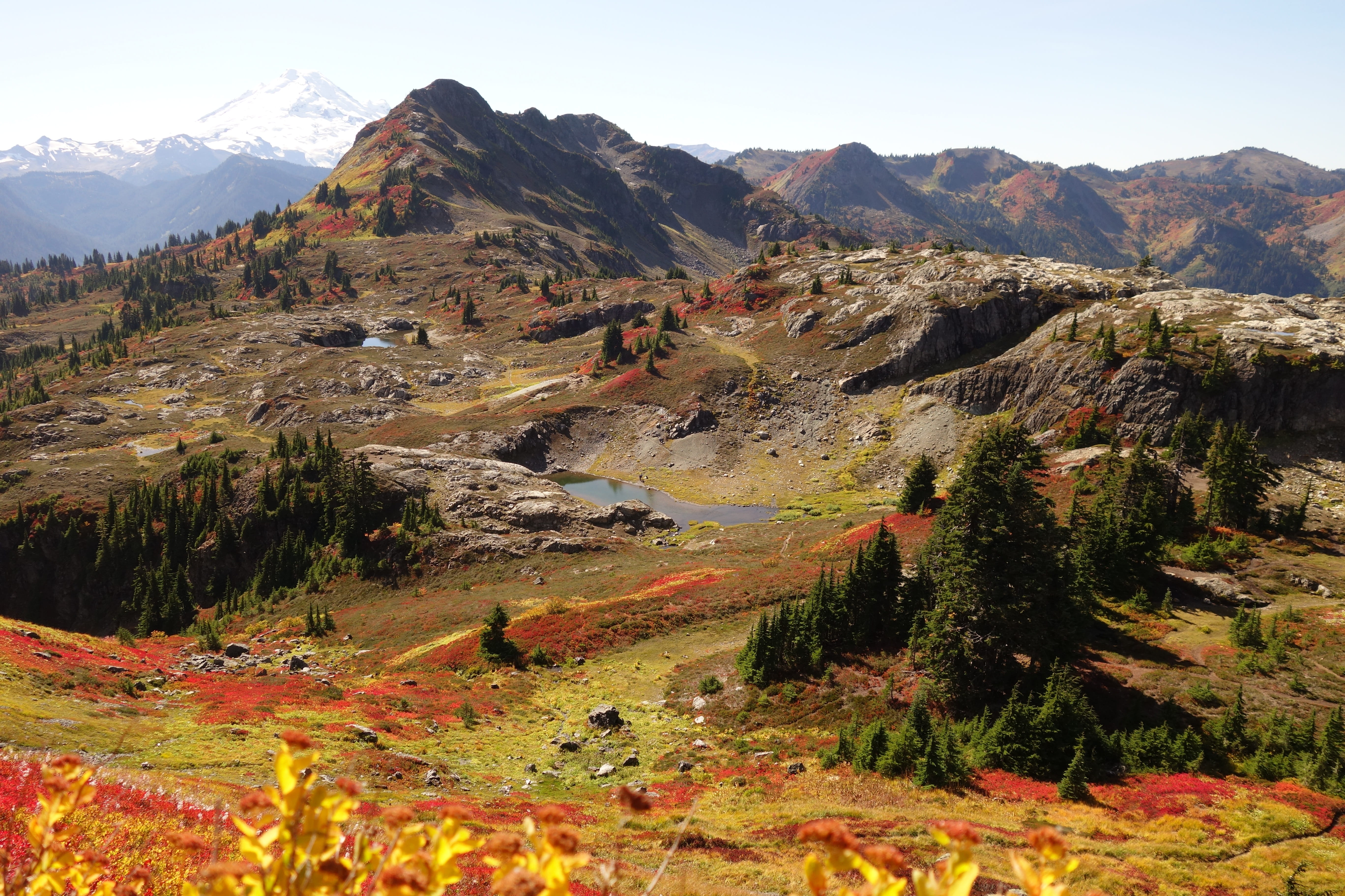 landscape, outdoors, mountain peak, idyllic, non-urban scene, north cascades, no people, environment, tranquility, fall colors, plant, 5K, mountains, physical geography, HD Wallpaper