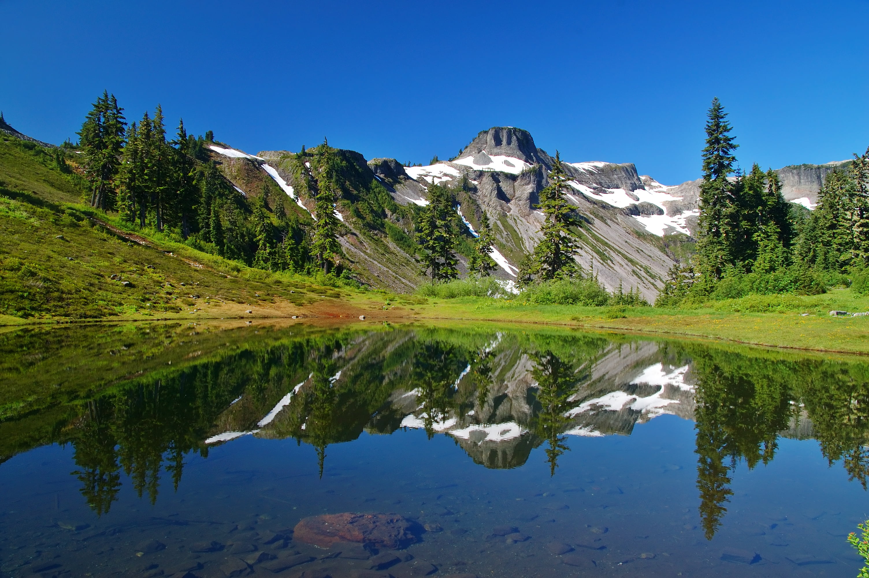 snowcapped mountain, nature, mountains, scenics - nature, outdoors, green color, north cascades, spruce, sky, tree, cold temperature, mountain, 2K, reflection, HD Wallpaper