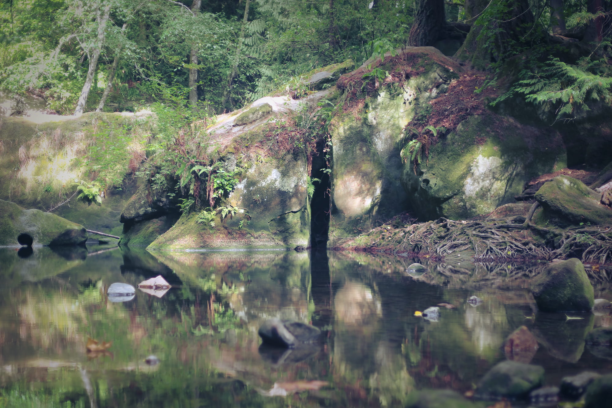 no people, cliff, portal, psychedelic, plants, tranquility, day, beauty in nature, non-urban scene, nature, solid, united states, tranquil scene, scenics - nature, HD Wallpaper