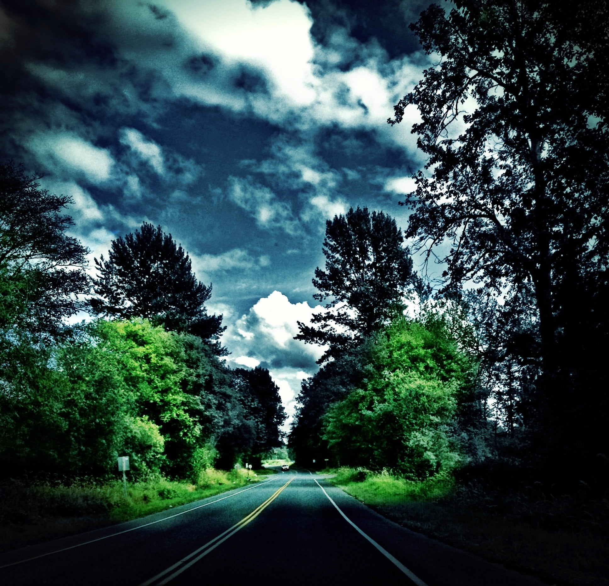 vanishing point, growth, outdoors, the way forward, tree, tranquility, dividing line, whatcom, 1080P, sign, long, symbol, diminishing perspective, road marking, HD Wallpaper