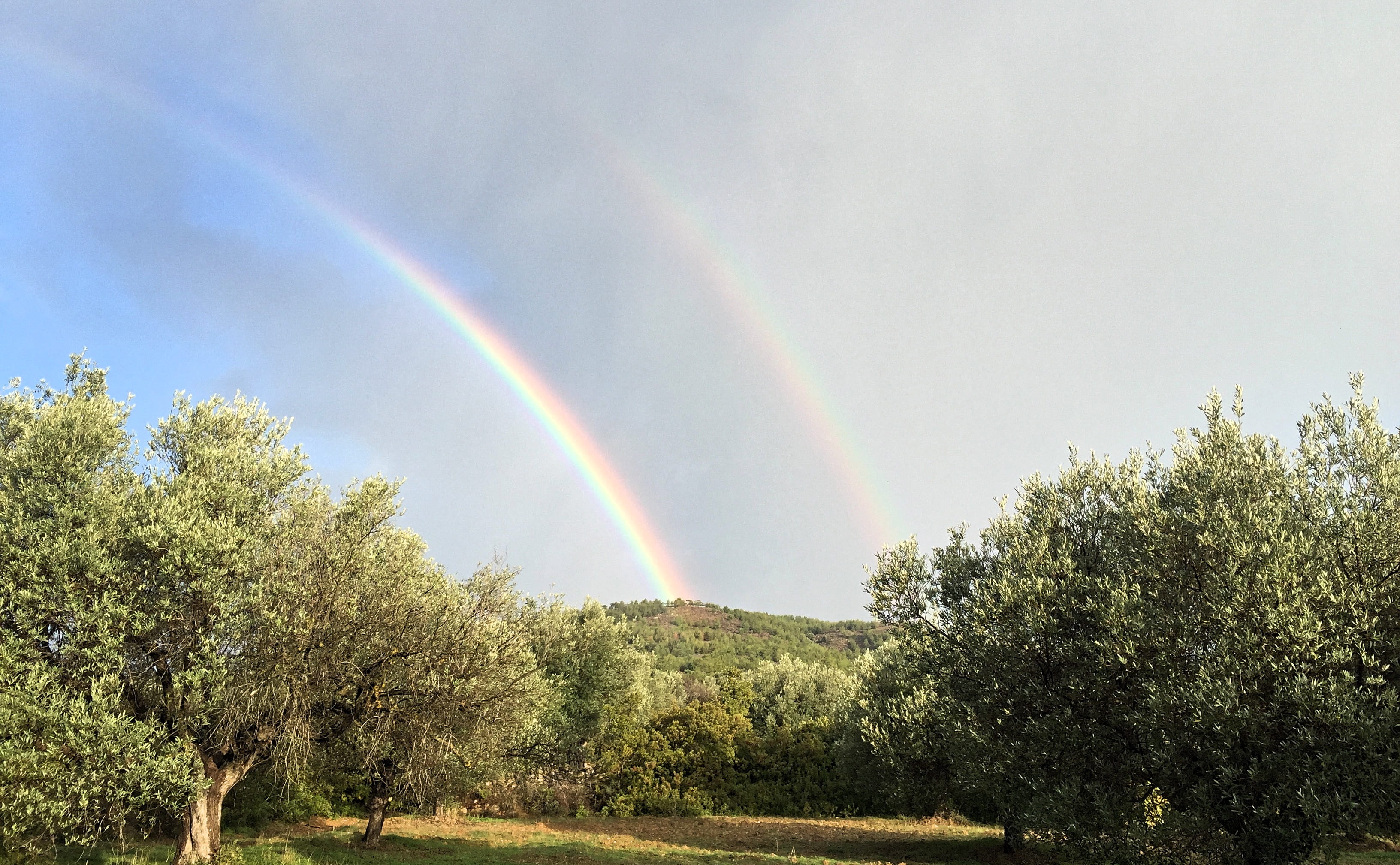 tree, cloud - sky, rhodes, tranquility, multi colored, land, double, rainbow, tranquil scene, sky, non-urban scene, trees, plant, low angle view, 2K, scenics - nature, HD Wallpaper