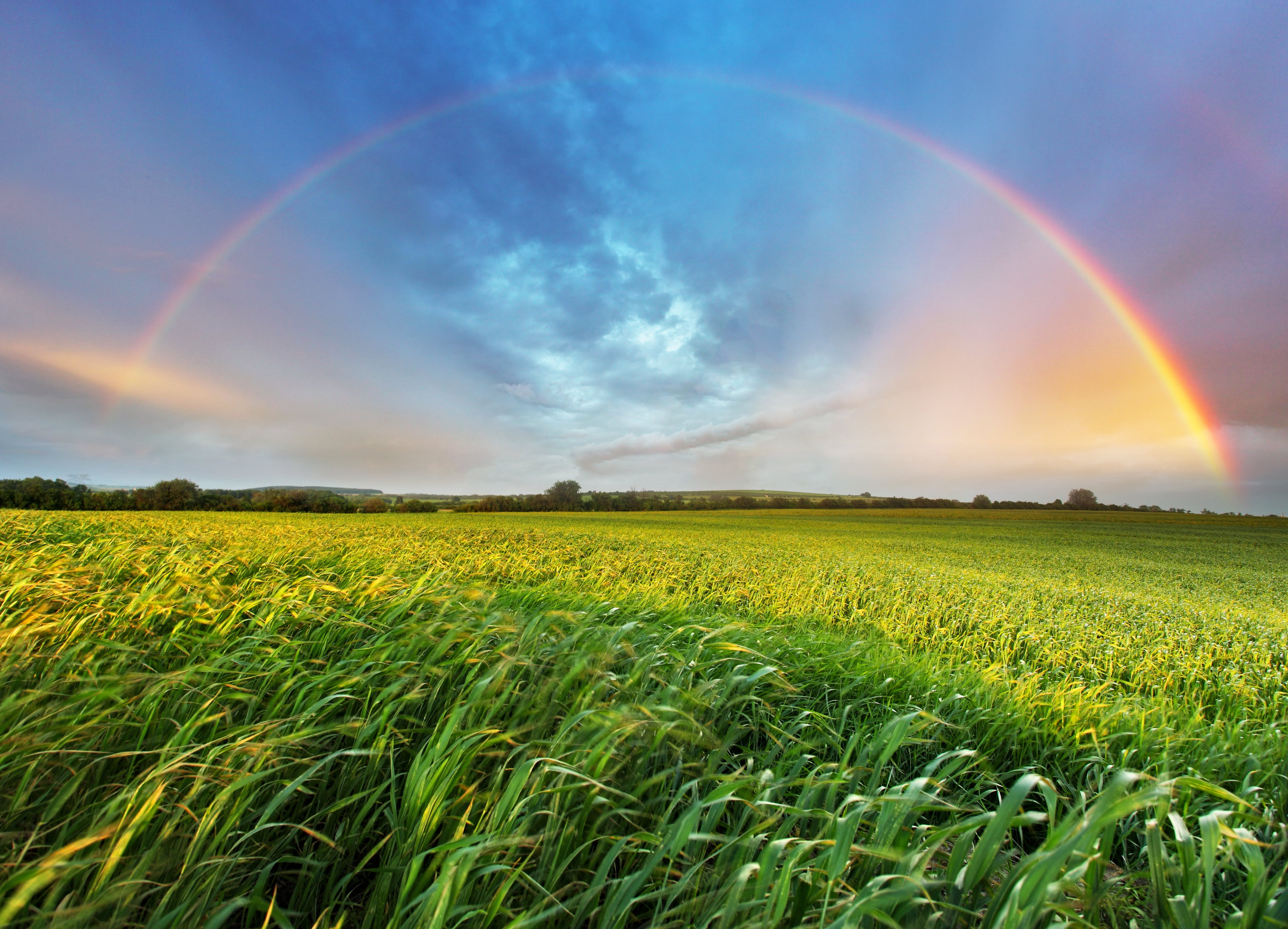 land, horizon Over Land, sunbeam, landscape, vibrant Color, backgrounds, outdoors, day, idyllic, weather, springtime, non-Urban Scene, cloudscape, field, HD Wallpaper