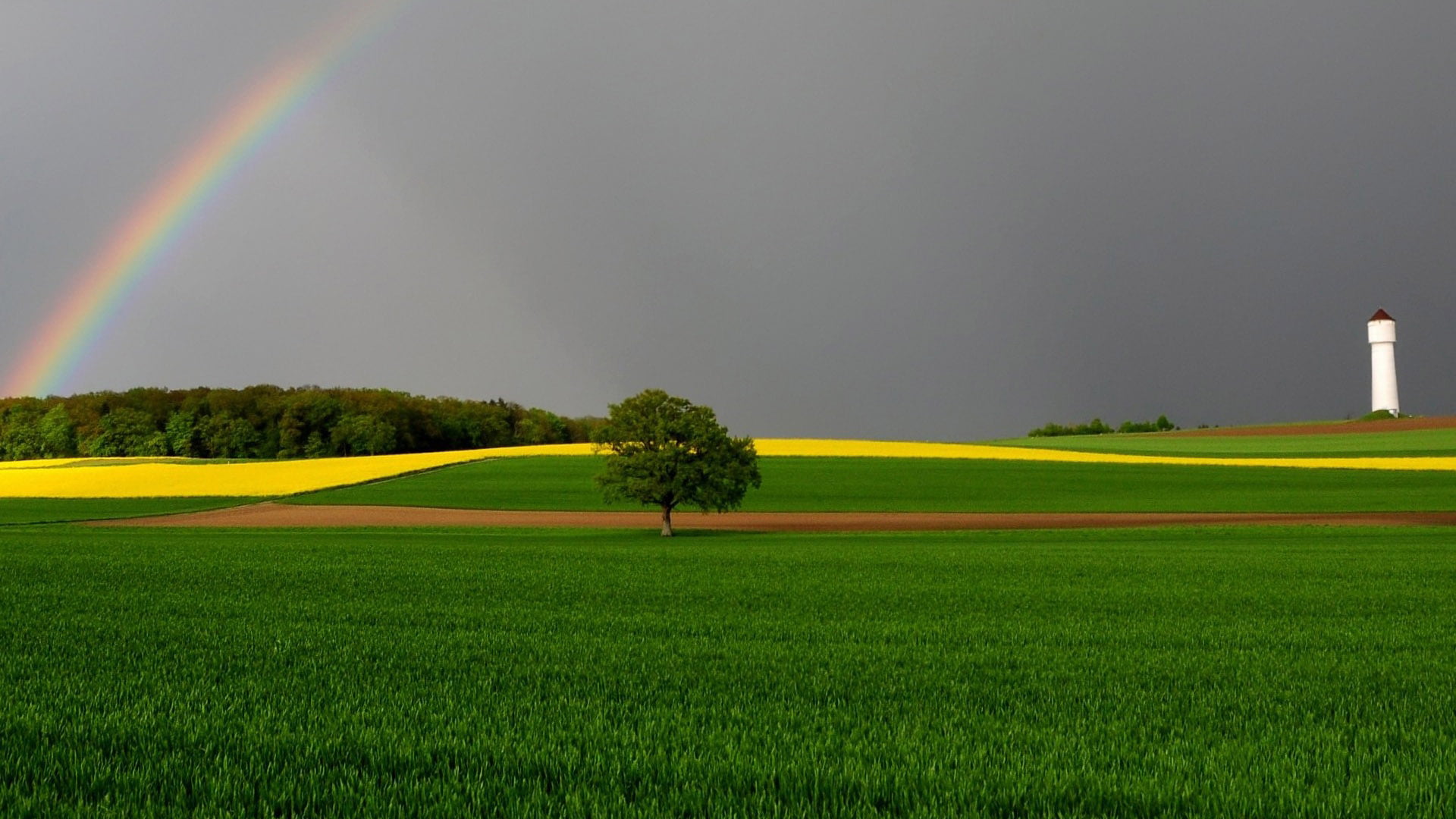 scene, farm, plant, grassland, summer, nature, horizon, fields, land, landscape, country, season, 1080P, spring, pasture, weather, day, clear, grass, cloud, HD Wallpaper