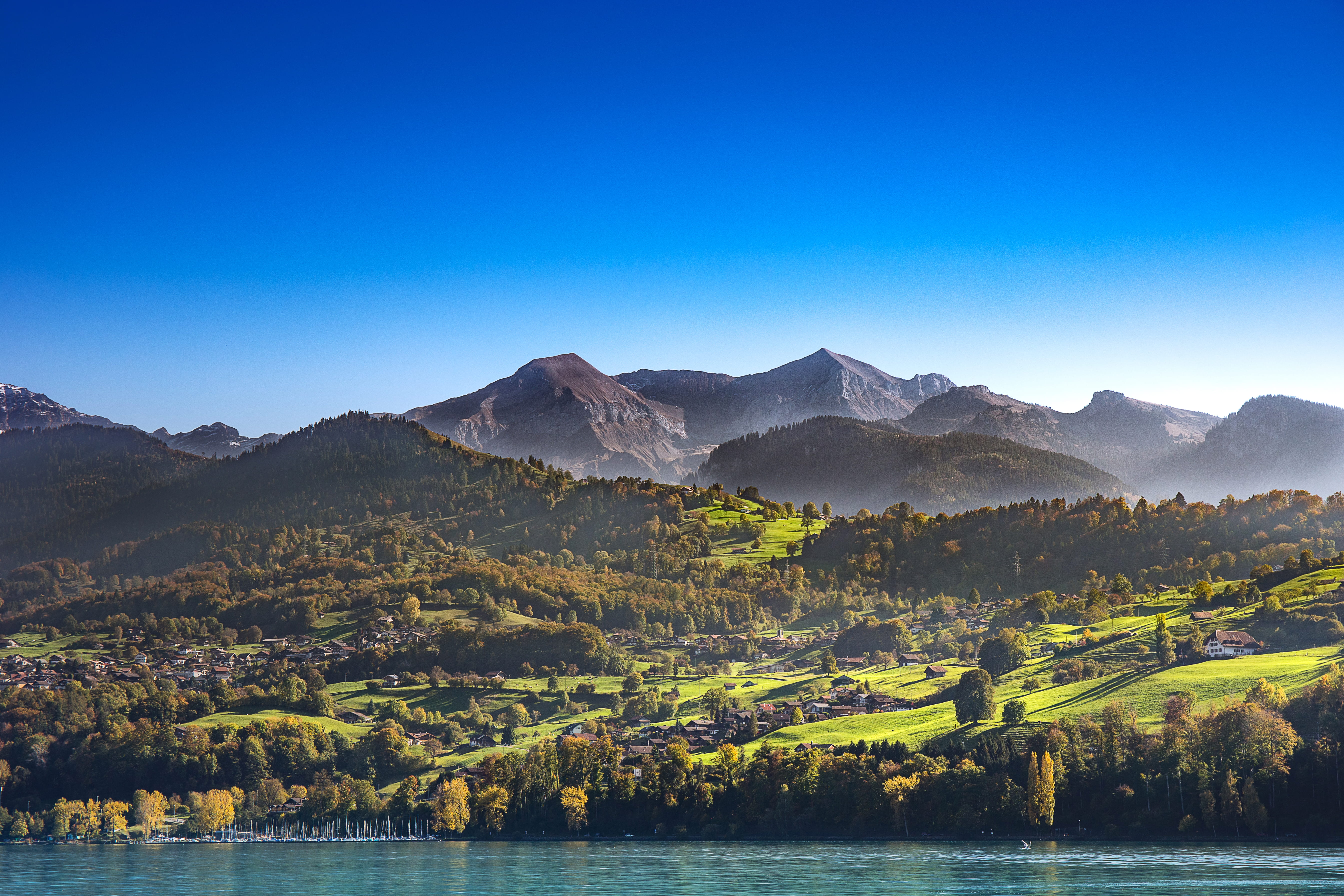 view into land, highlands, non-urban scene, hill, landscape, water, lake, forest, environment, clear sky, scenic, idyllic, interlaken, alps, tree, 5K, HD Wallpaper