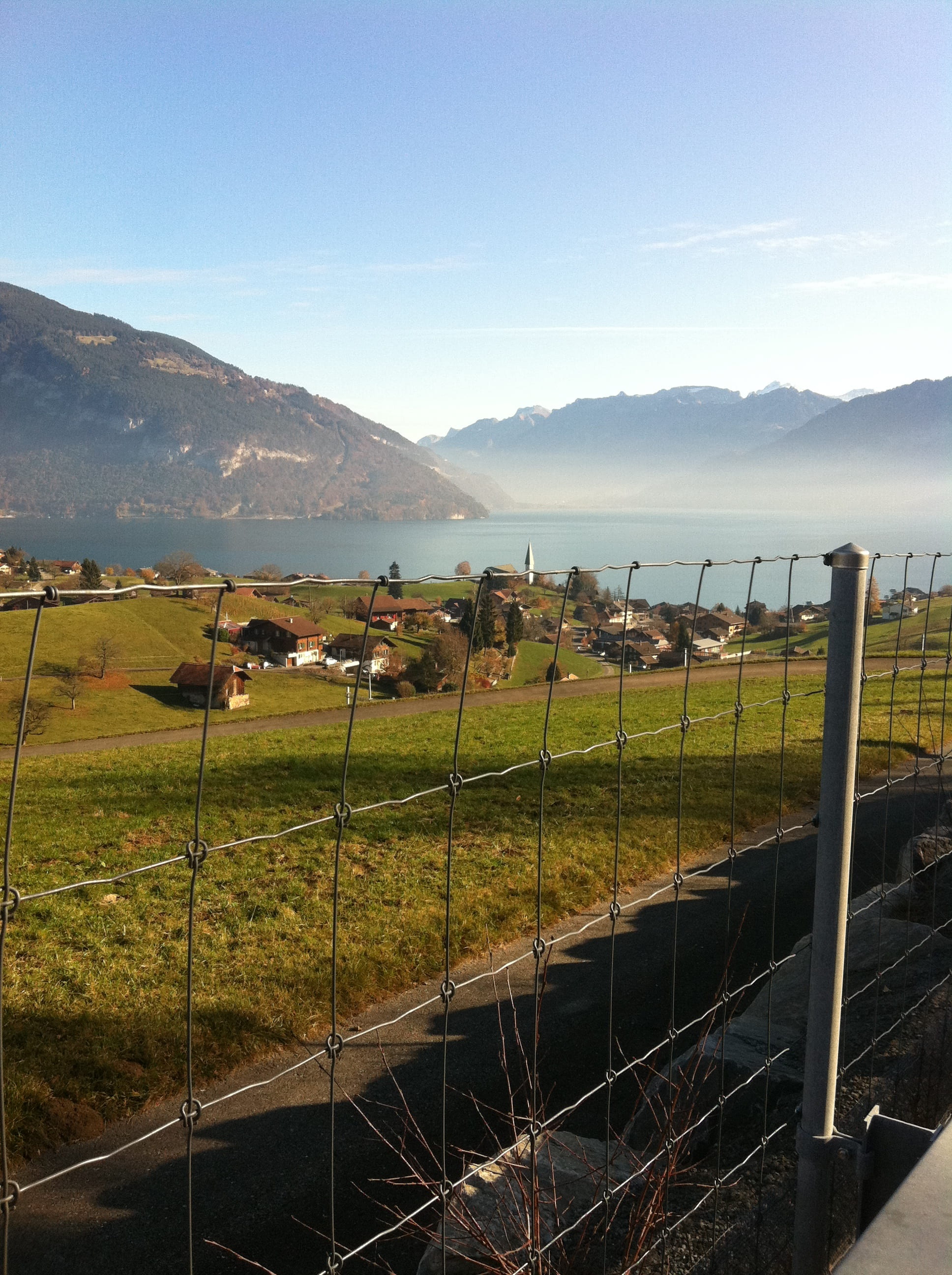 2K, grass, landscape, vertebrate, mountain, animal, nature, land, top of europe, fence, sky, interlaken, no people, herd, field, pets, mammal, herbivorous, Phone HD Wallpaper