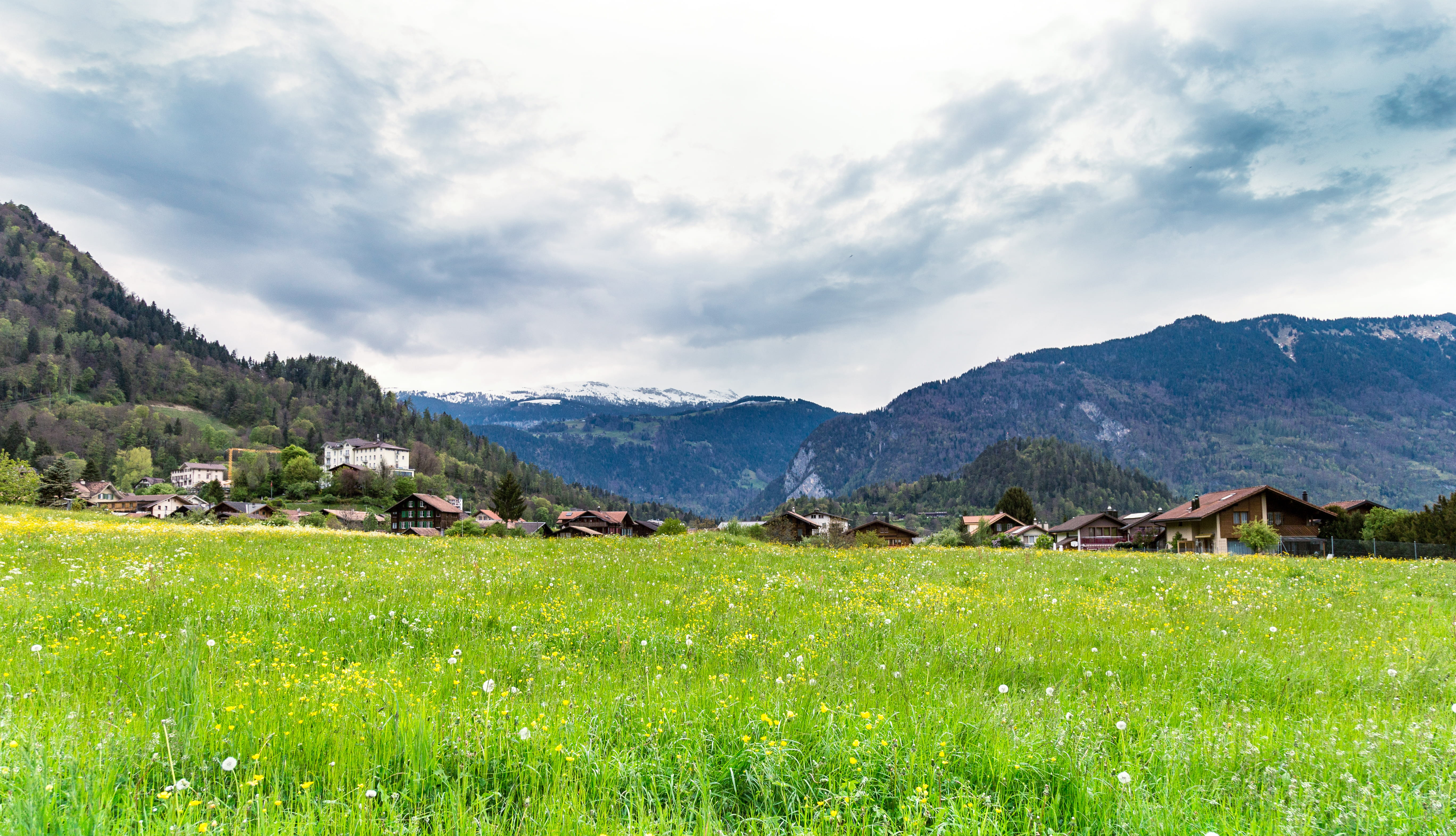 moutain, beauty in nature, sky, rural scene, moutain forest, land, scenics - nature, mountain, cloudy, no people, tranmautritam, tree, outdoors, plain, HD Wallpaper