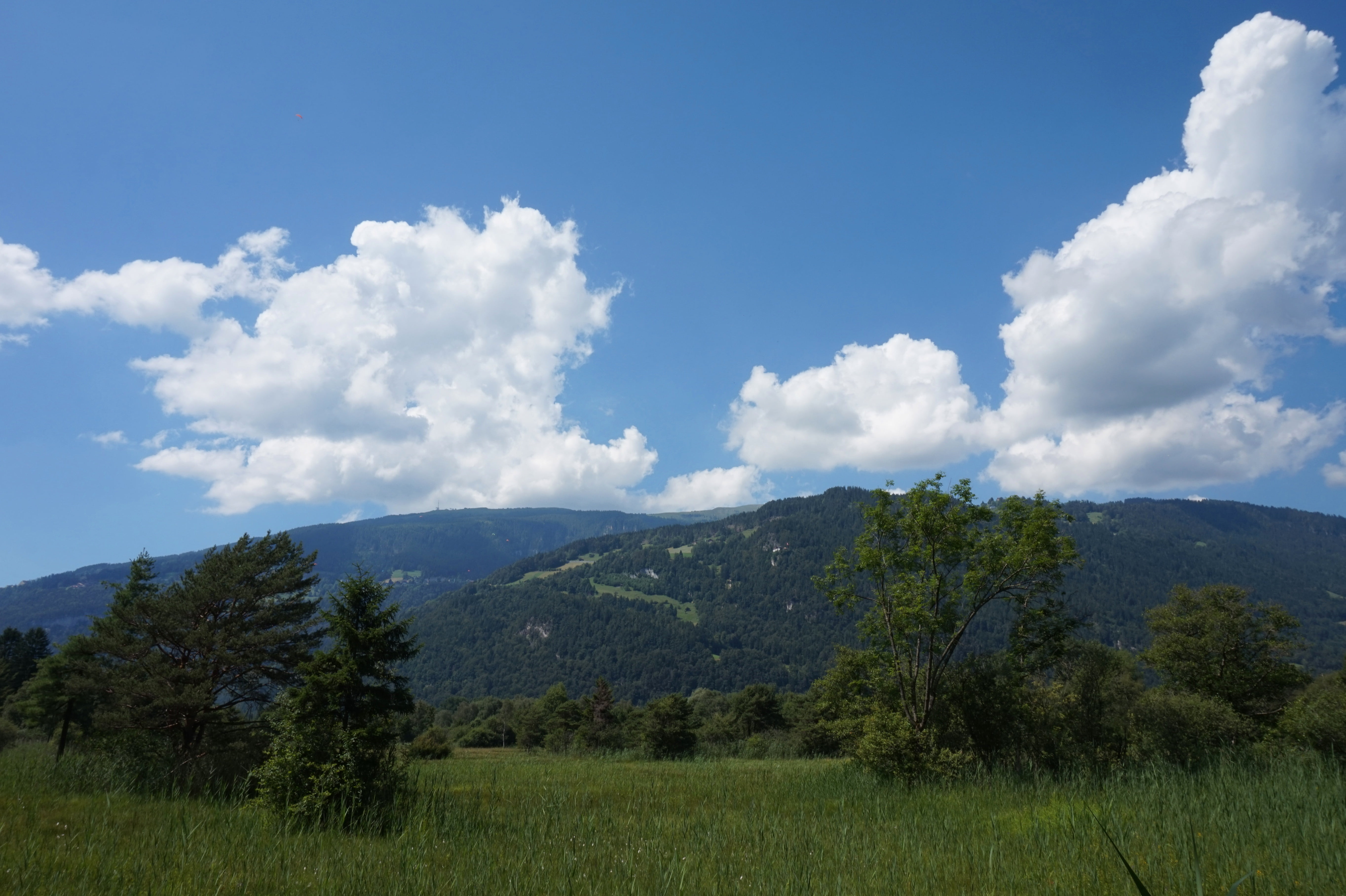 holidays, recovery, sky, summer, nature reserve, non-urban scene, beauty in nature, green color, mountains, tree, grass, tranquil scene, scenics - nature, HD Wallpaper