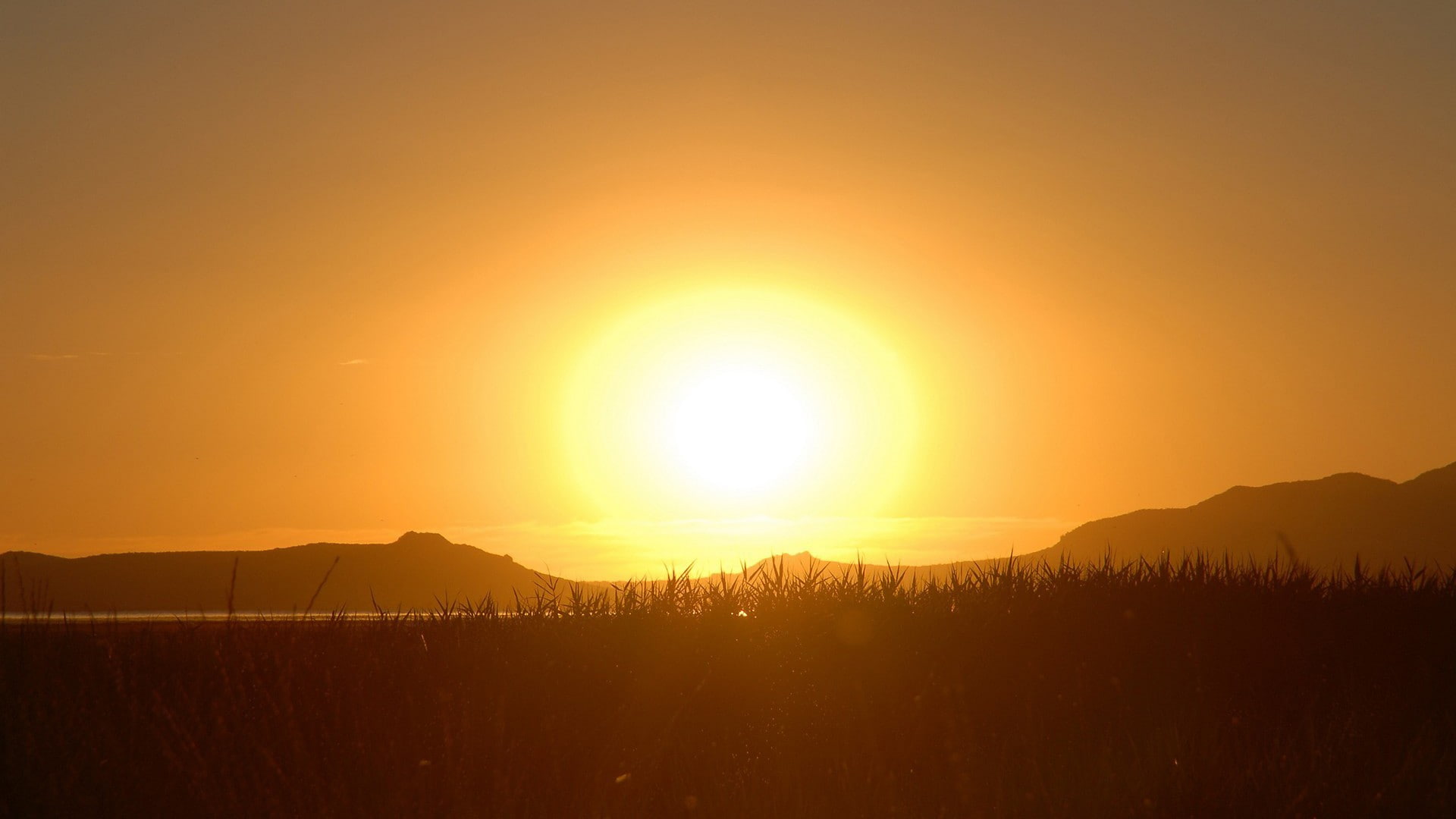 sun, landscape, hills, scenics - nature, nature, no people, tranquil scene, tranquility, idyllic, non-urban scene, sky, sunset, sunbeam, sunlight, reeds, HD Wallpaper
