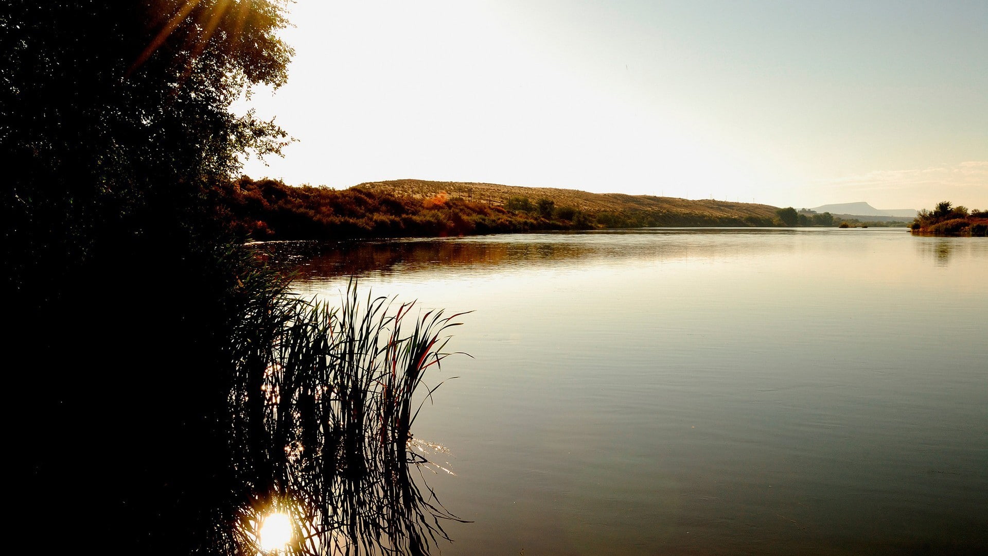 water, plant, hills, sky, waterfront, reeds, tree, sunlight, clear sky, day, nature, lake, scenics - nature, non-urban scene, tranquil scene, reflection, HD Wallpaper