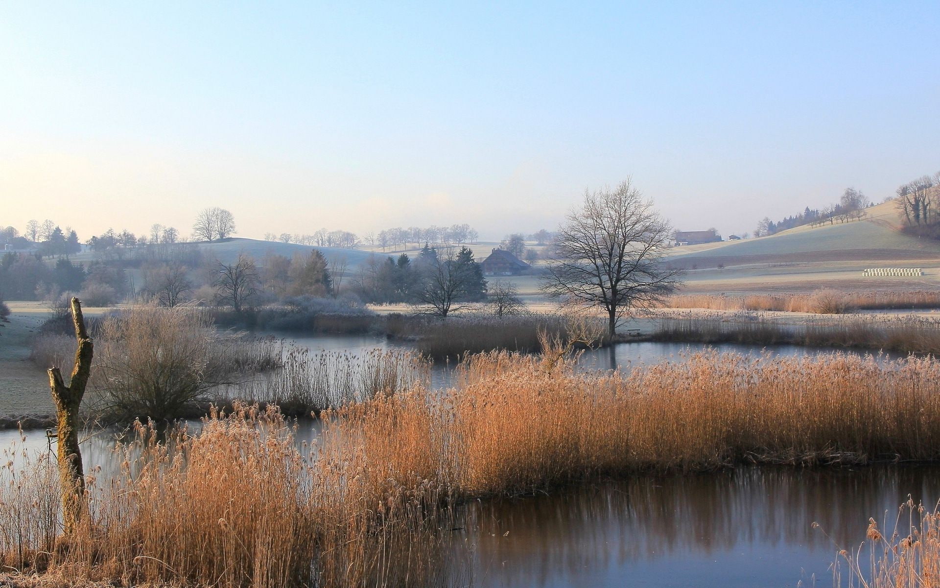 1080P, waterfront, field, idyllic, clear sky, scenics - nature, lake, reeds, tranquility, nature, non-urban scene, plant, landscape, day, no people, tranquil scene, HD Wallpaper