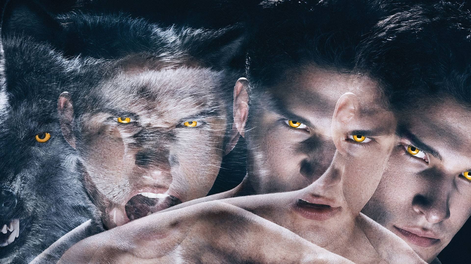horror, werewolf, drama, teen, dark, comedy, 1080P, wolf, series, HD Wallpaper