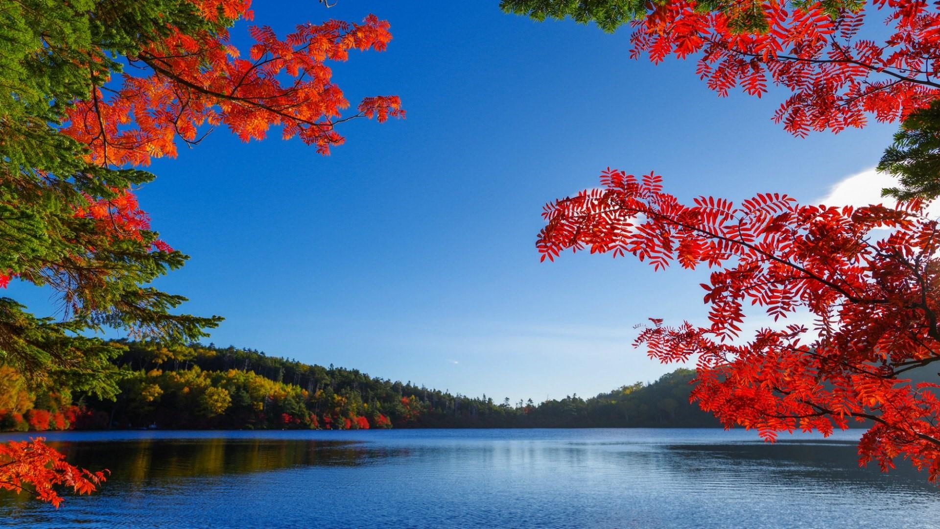 sky, eyecatching, color, autumn, water, reflection, tree, daytime, leaves, 1080P, lake, branch, nature, hills, HD Wallpaper