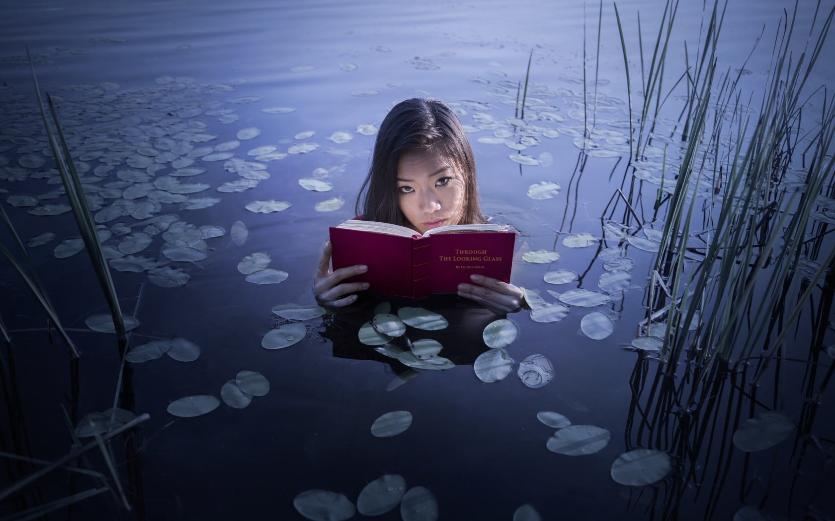 publication, holding, book, leaves, water, activity, young adult, lifestyles, books, real people, one person, Asian, women outdoors, leisure activity, casual clothing, HD Wallpaper