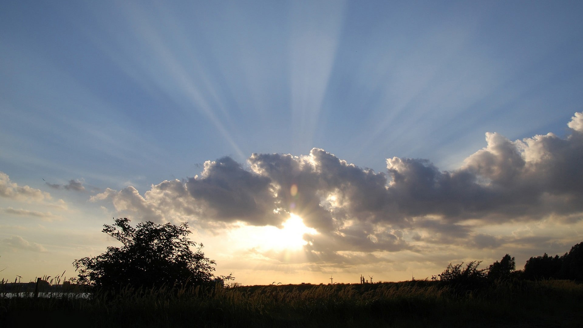 tranquility, non-urban scene, outdoors, landscape, 1080P, nature, reeds, sunset, land, beauty in nature, sunlight, sun rays, tranquil scene, field, lens flare, HD Wallpaper