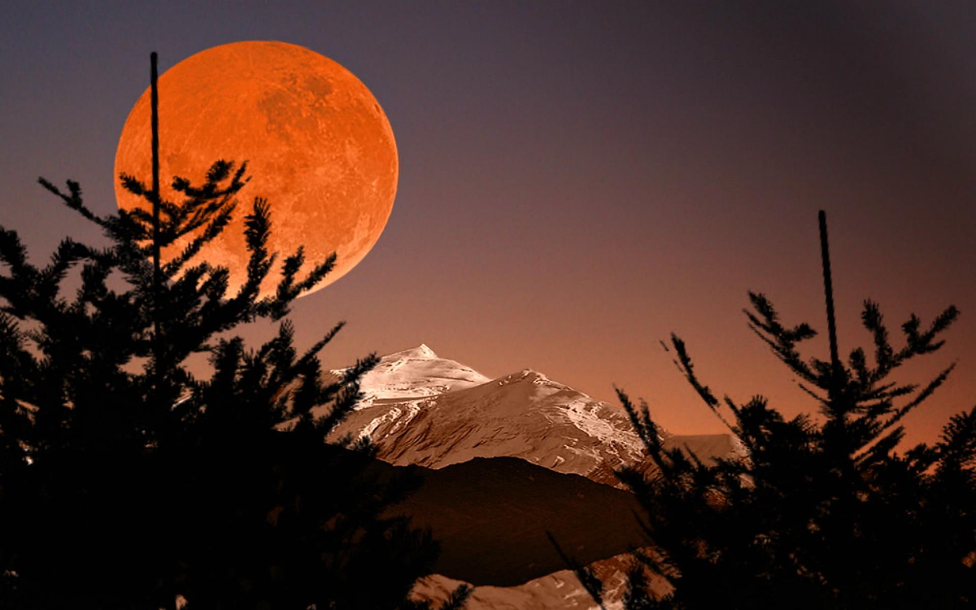 super, moon, trees, 1080P, nature, s, mountains, hunter, full-moon, HD Wallpaper