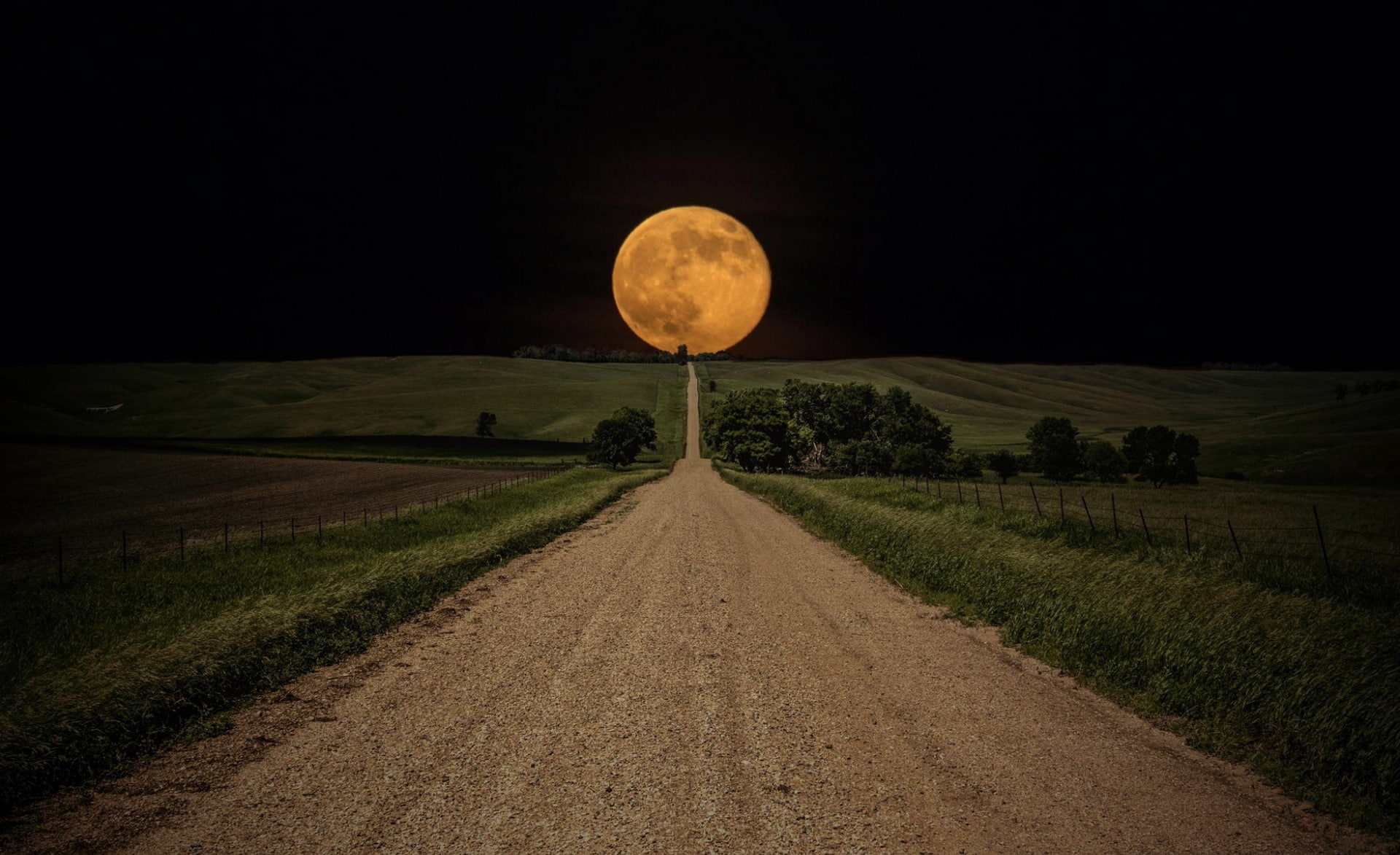 plant, road, astronomy, tranquility, tranquil scene, scenics - nature, transportation, diminishing perspective, beauty in nature, 1080P, Nature, Landscape, HD Wallpaper