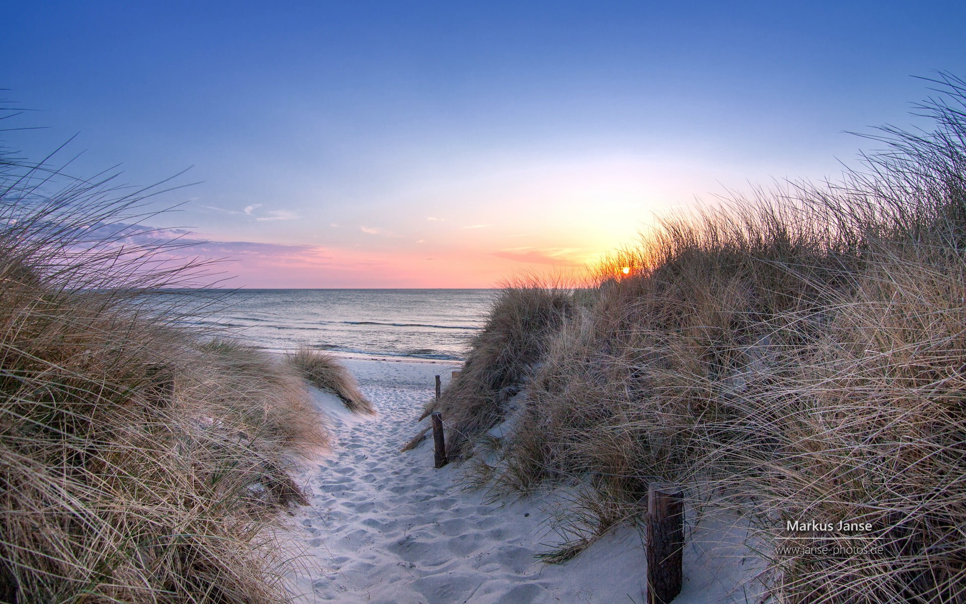 plant, no people, nature, water, janse, fischland, timothy grass, scenics - nature, sand, beauty in nature, wallpape, sea, 1080P, sunset, grass, horizon, HD Wallpaper