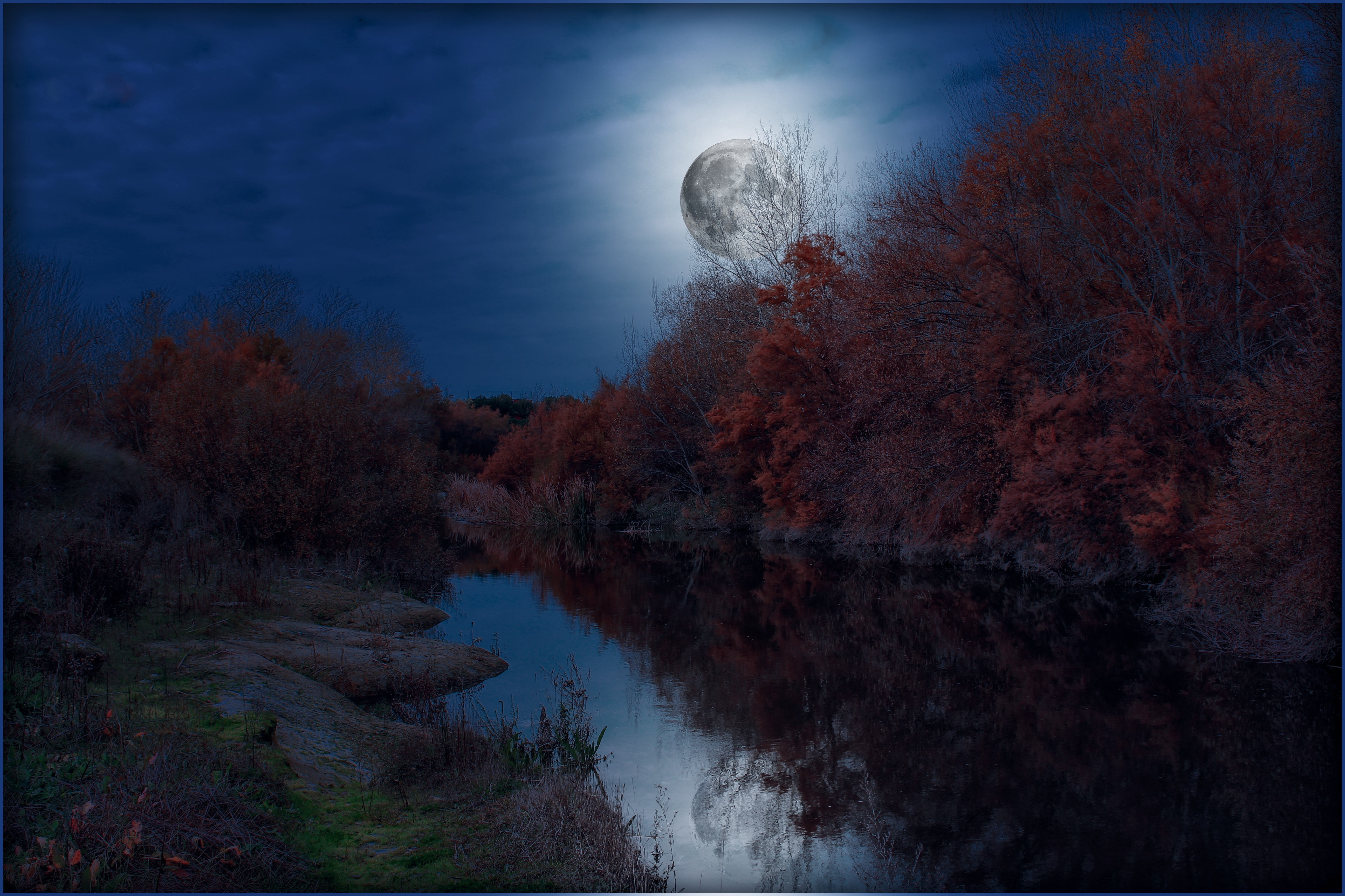 beauty in nature, outdoors, night landscape, full moon, 5K, forest, plant, blue sky, reflection, water, auto post production filter, afternoon, moonlight, HD Wallpaper